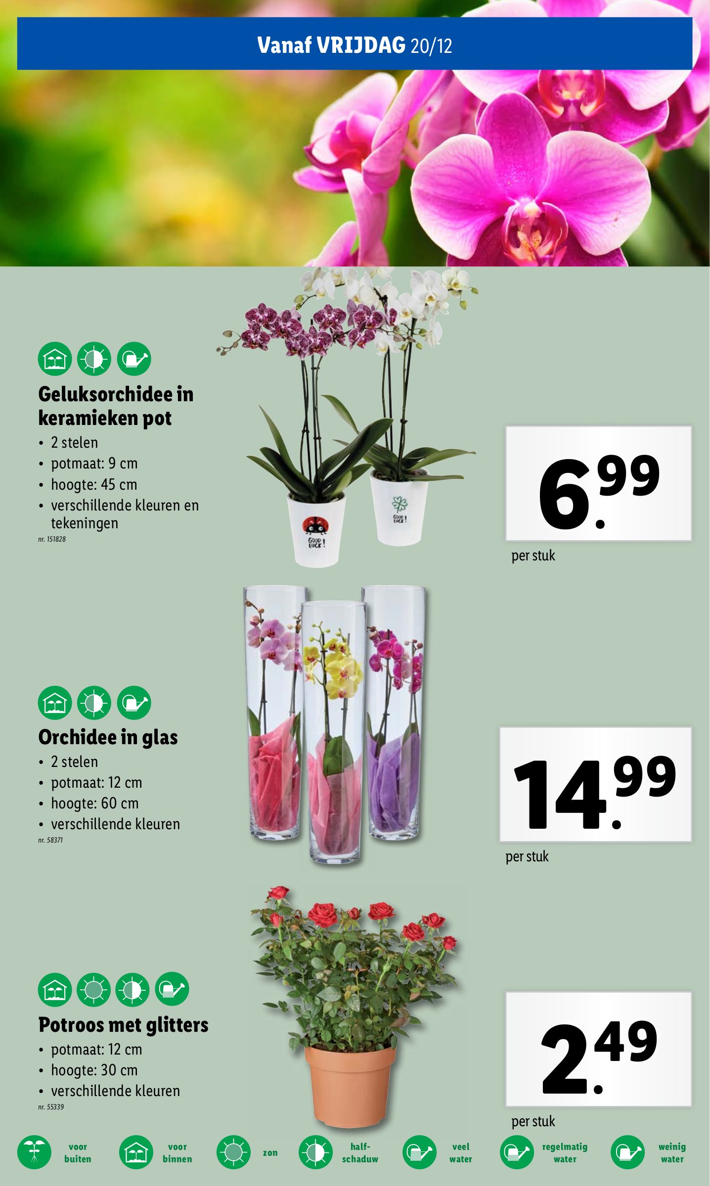 lidl - Lidl folder geldig vanaf 18/12 - 24/12 - page: 57