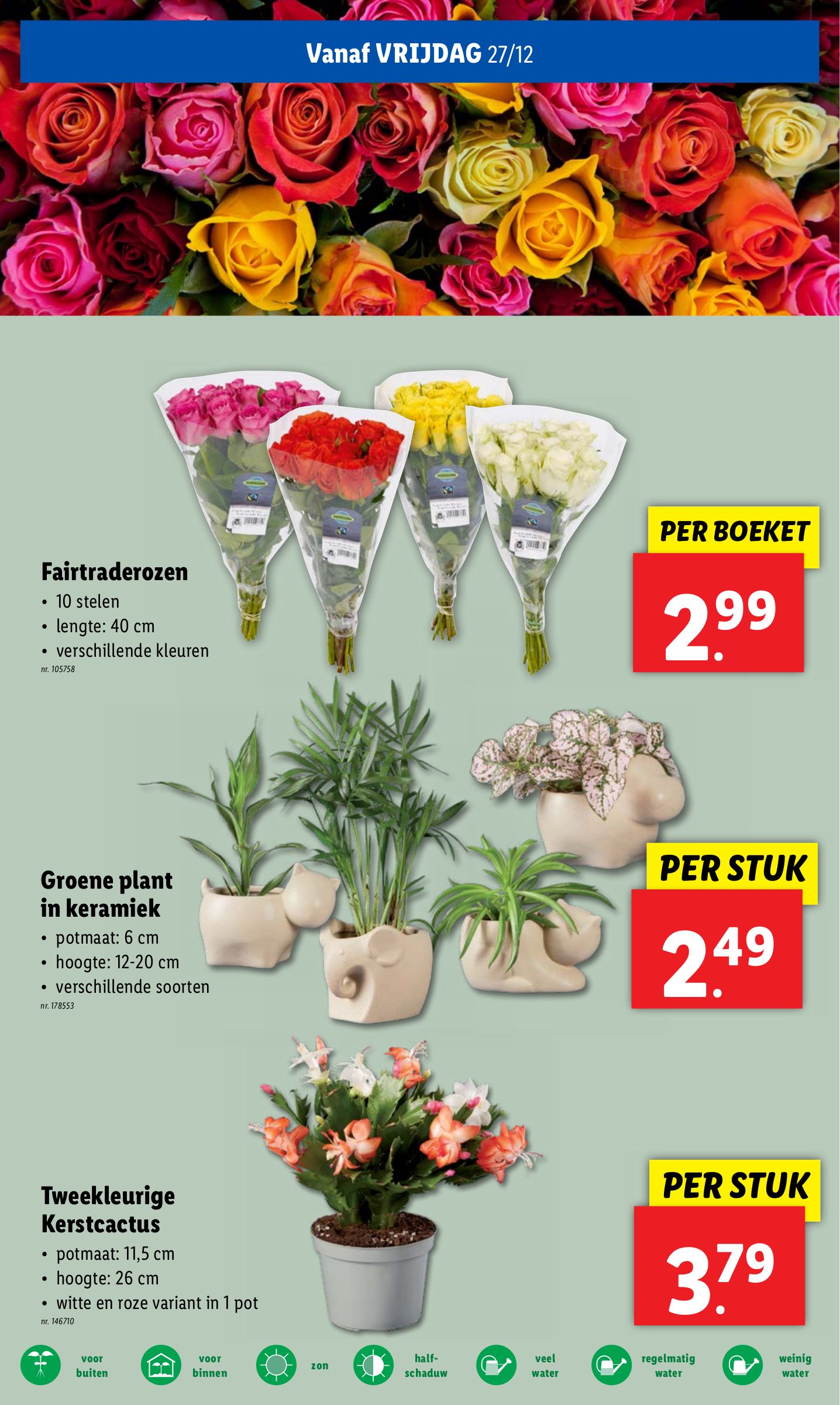 lidl - Lidl folder geldig vanaf 26/12 - 31/12 - page: 58