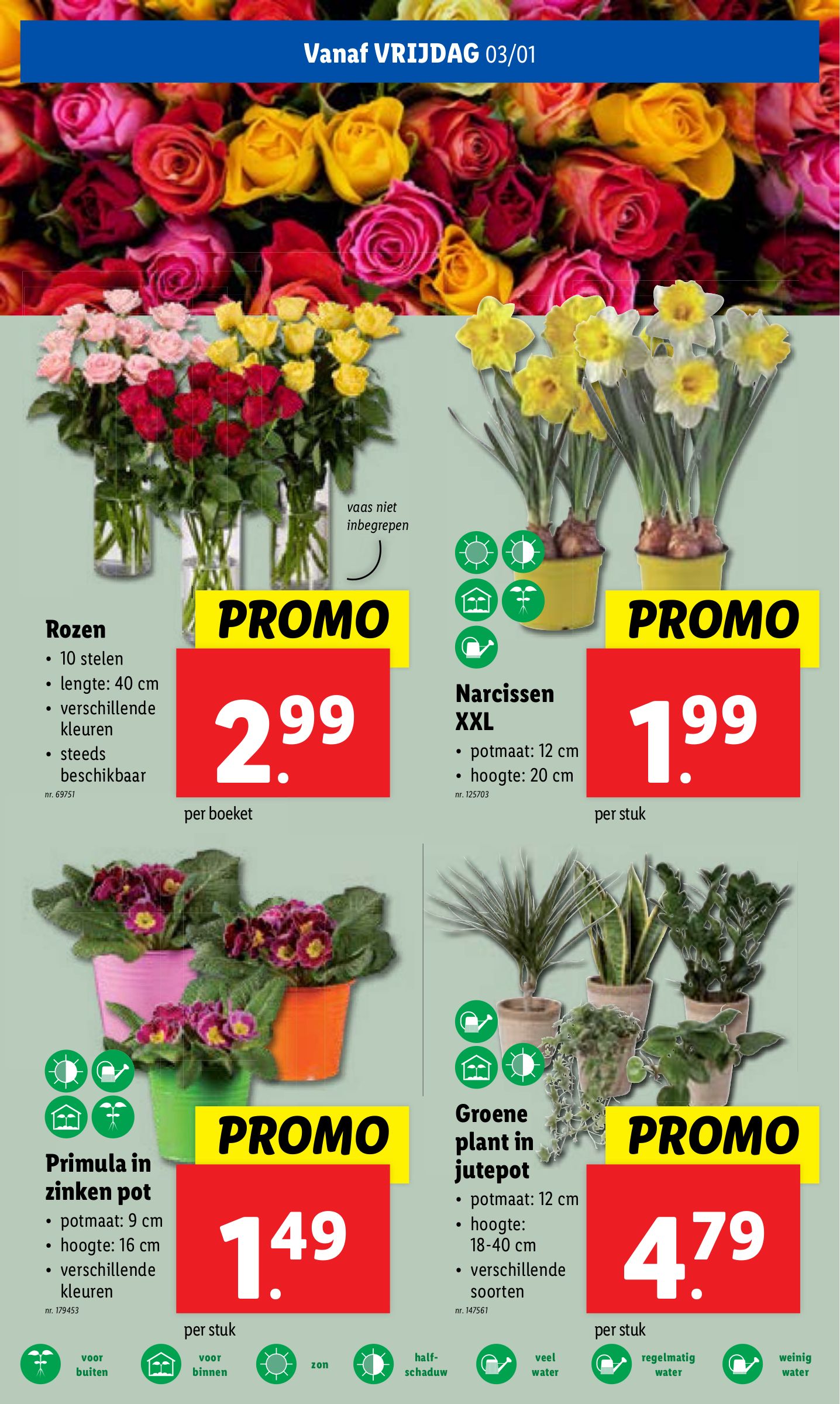 lidl - Lidl folder geldig vanaf 02/01 - 07/01 - page: 51