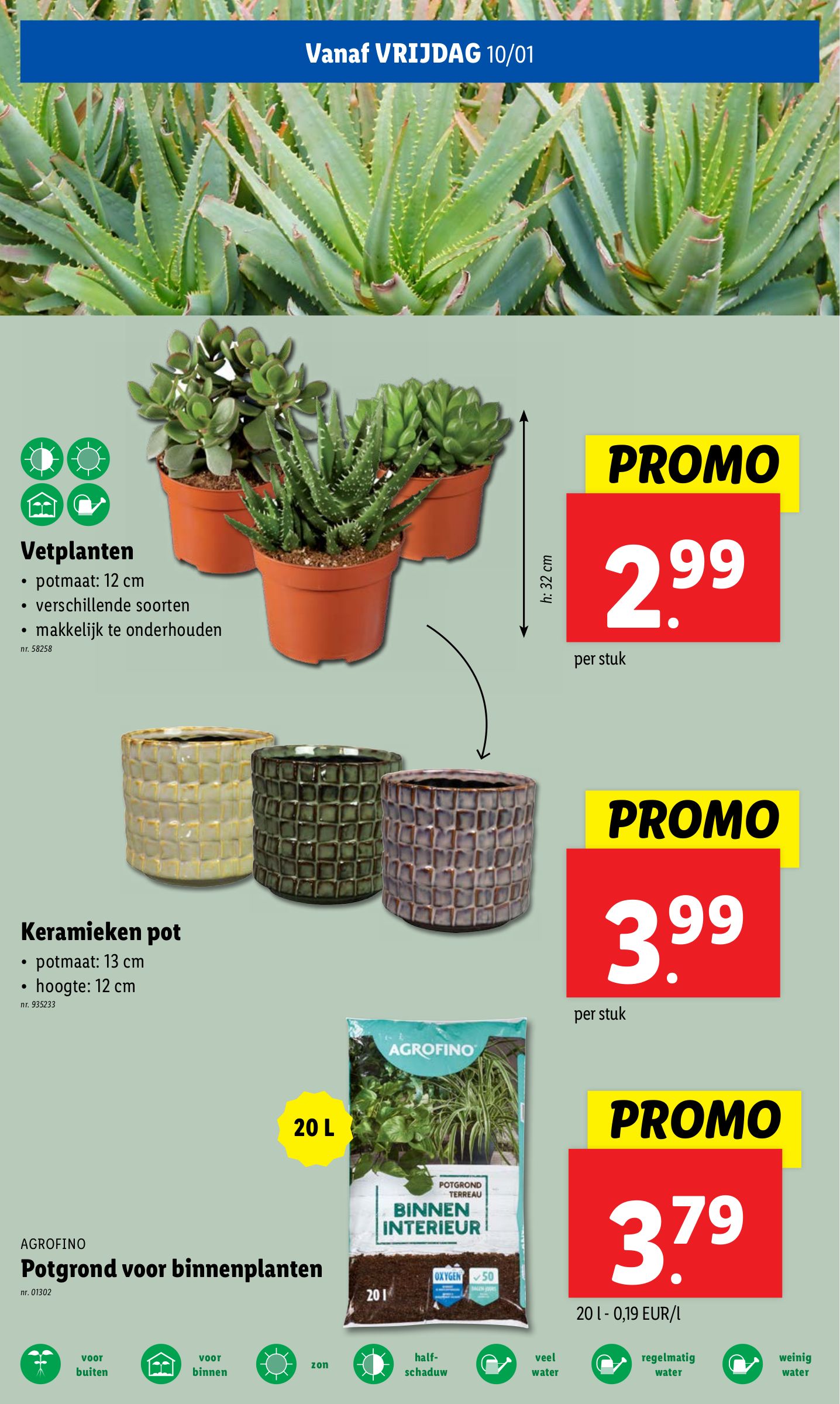 lidl - Lidl folder geldig vanaf 08/01 - 14/01 - page: 54