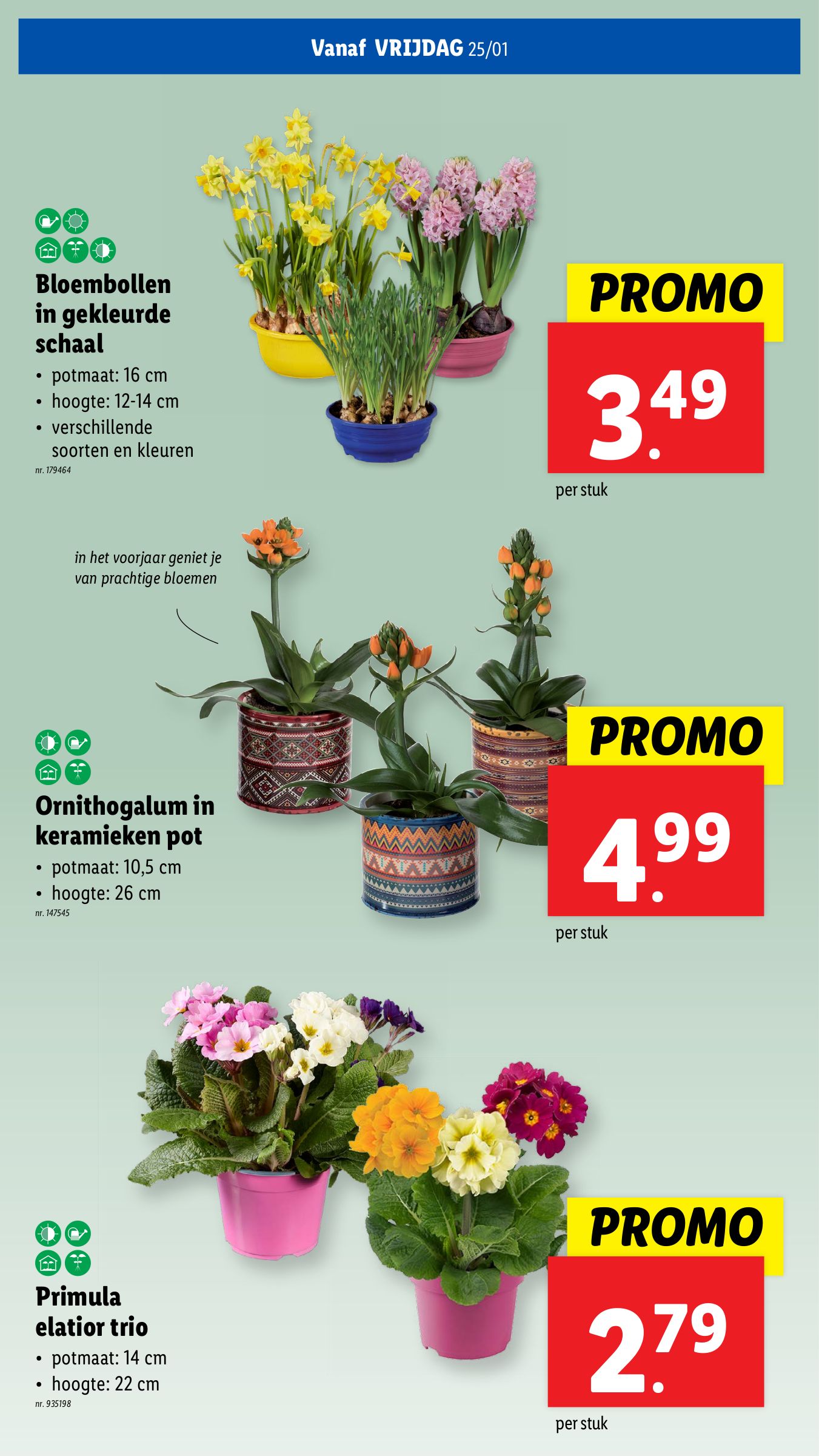 lidl - Lidl folder geldig vanaf 22/01 - 28/01 - page: 58