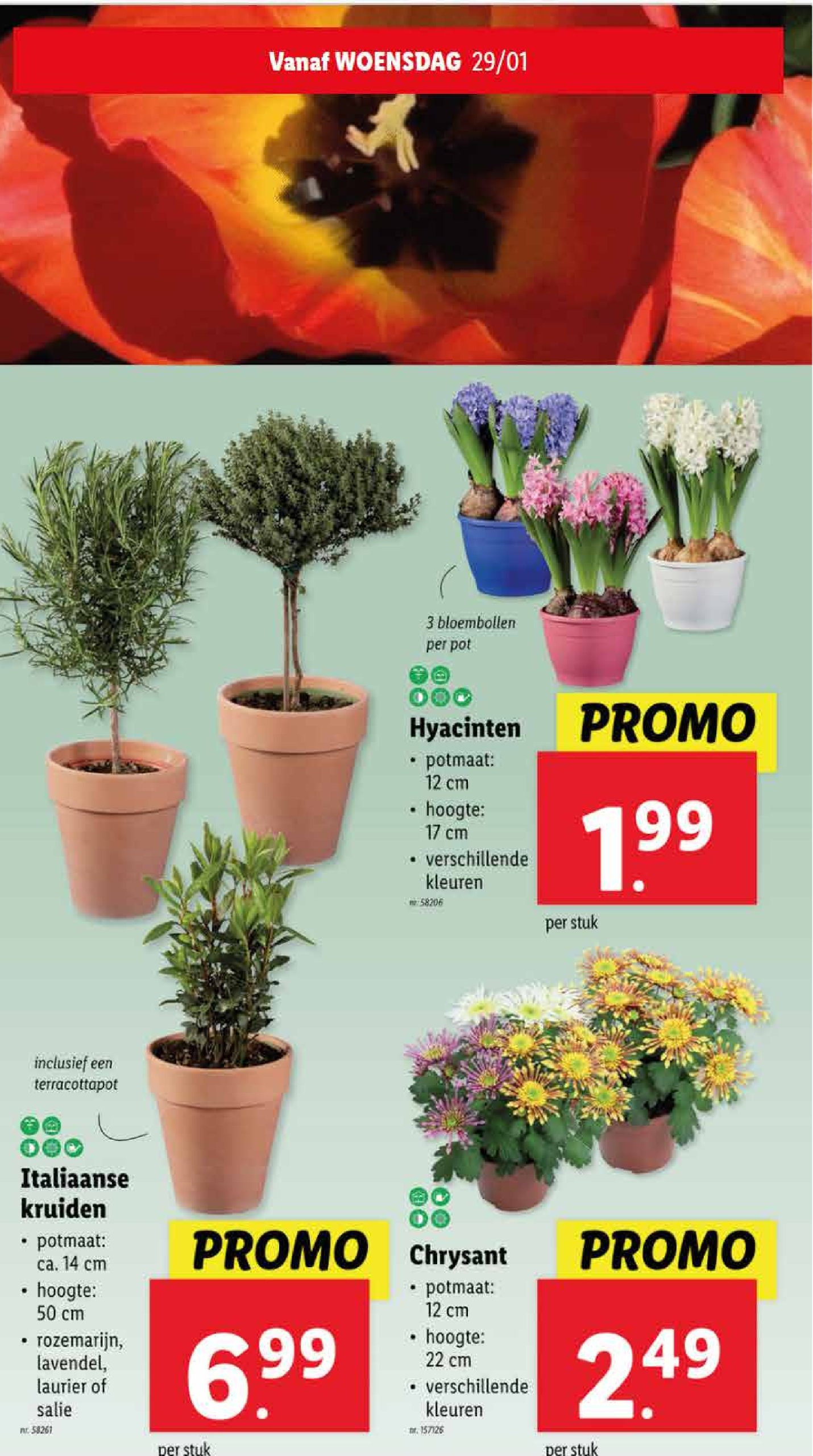 lidl - Lidl folder geldig vanaf 29/01 - 04/02 - page: 29