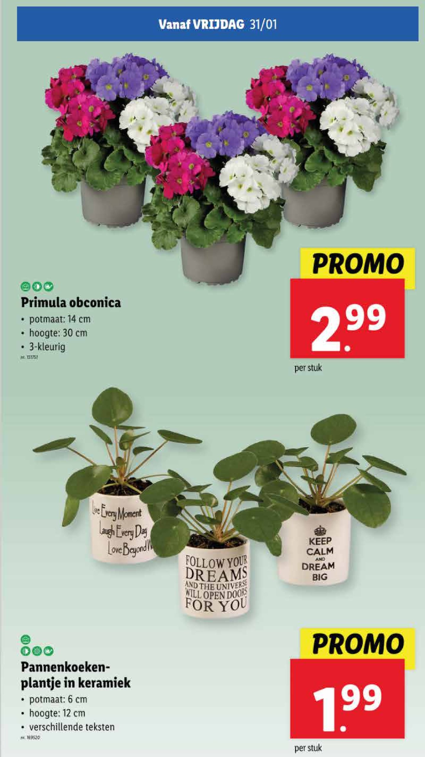 lidl - Lidl folder geldig vanaf 29/01 - 04/02 - page: 56