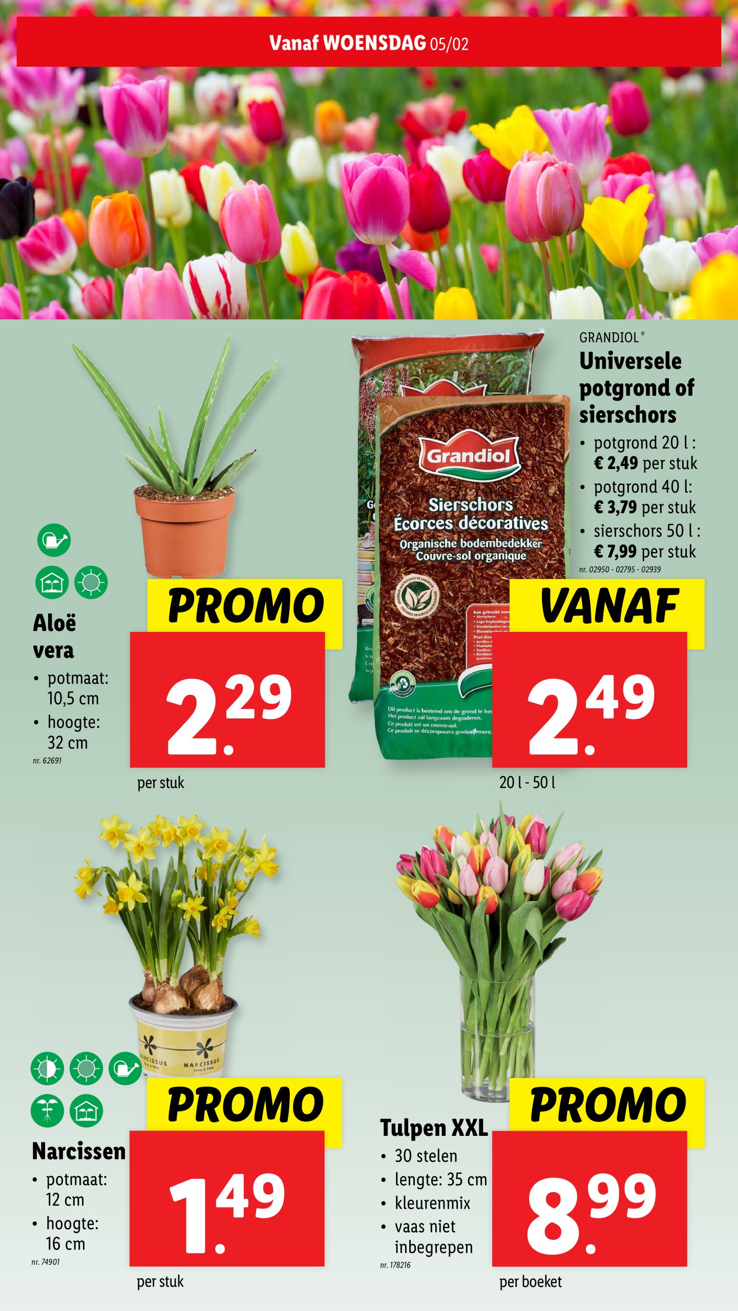 lidl - Lidl folder geldig vanaf 05/02 - 11/02 - page: 32