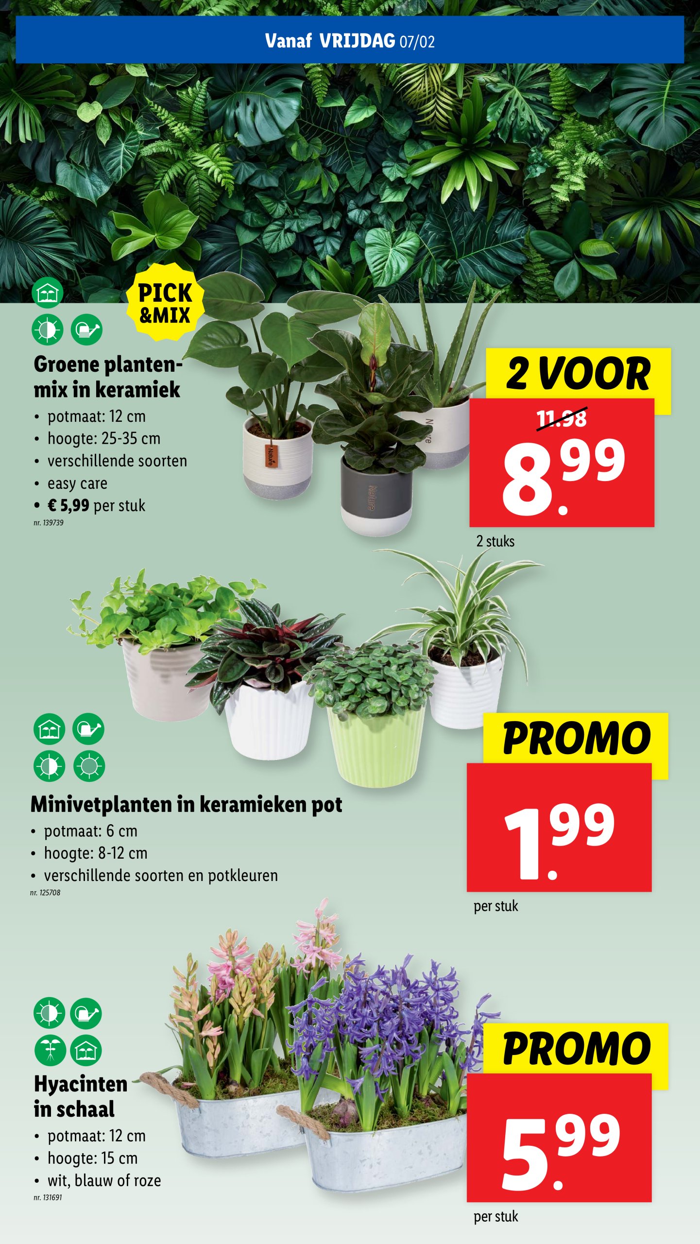 lidl - Lidl folder geldig vanaf 05/02 - 11/02 - page: 36