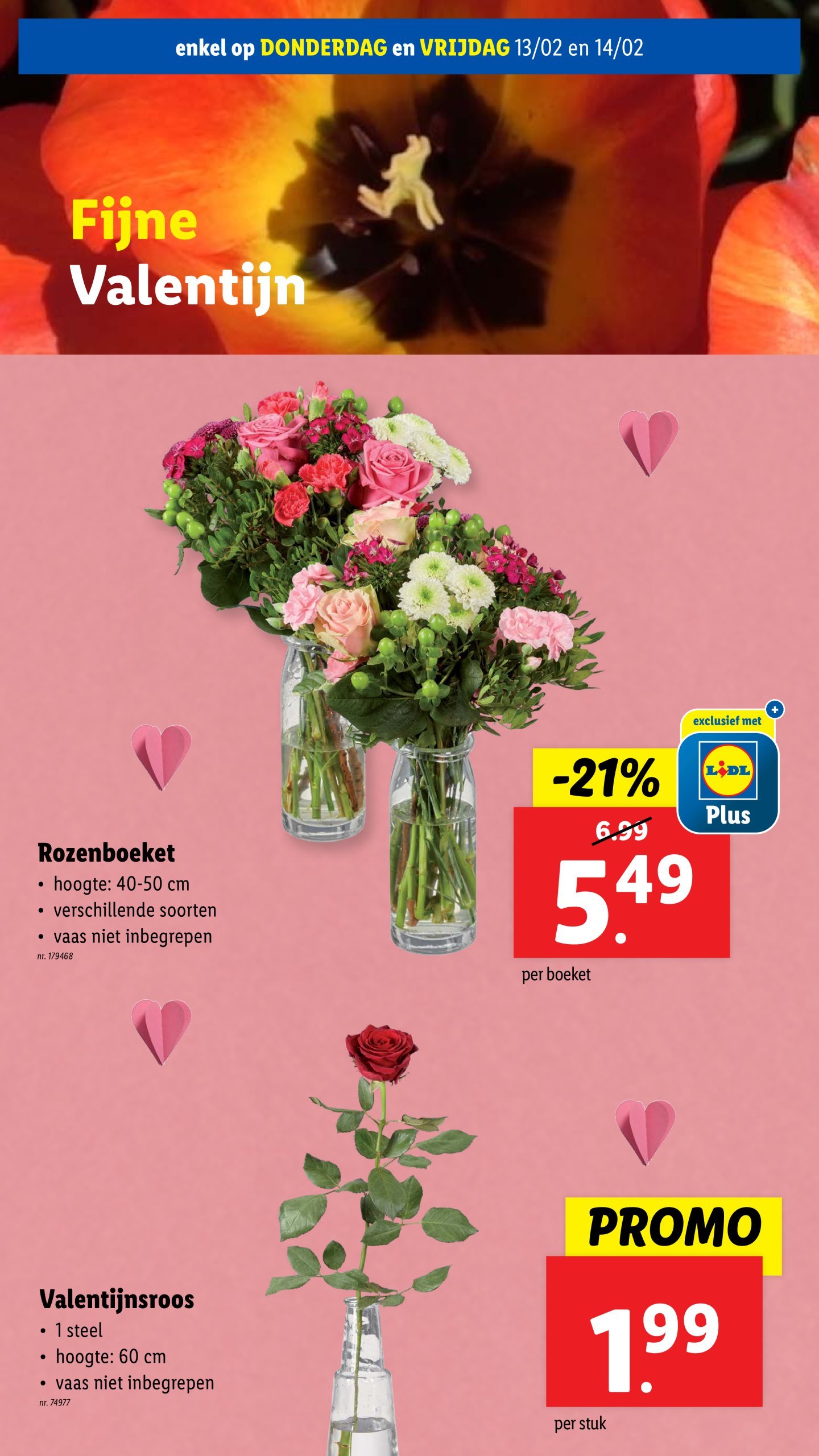 lidl - Lidl folder geldig vanaf 12/02 - 18/02 - page: 48