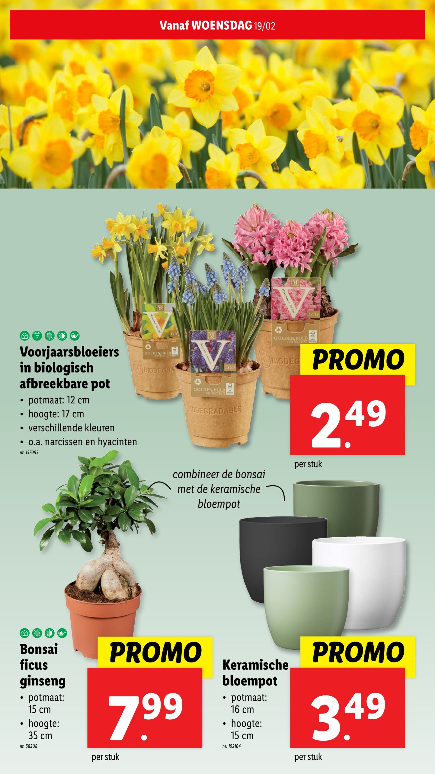 lidl - Lidl folder geldig vanaf 19/02 - 24/02 - page: 33