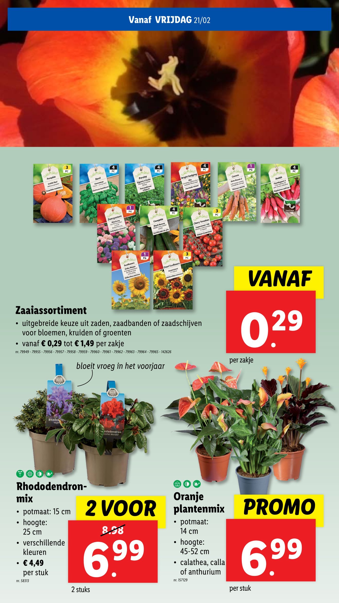 lidl - Lidl folder geldig vanaf 19/02 - 24/02 - page: 52