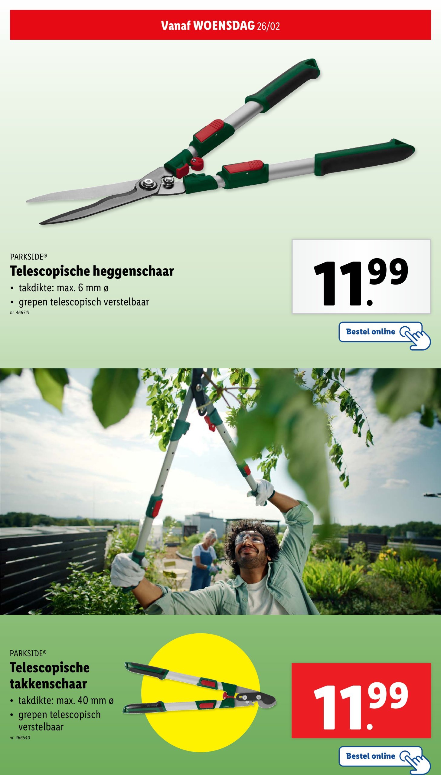 lidl - Lidl - Tuinfolder folder geldig vanaf 19/02 - 01/04 - page: 10