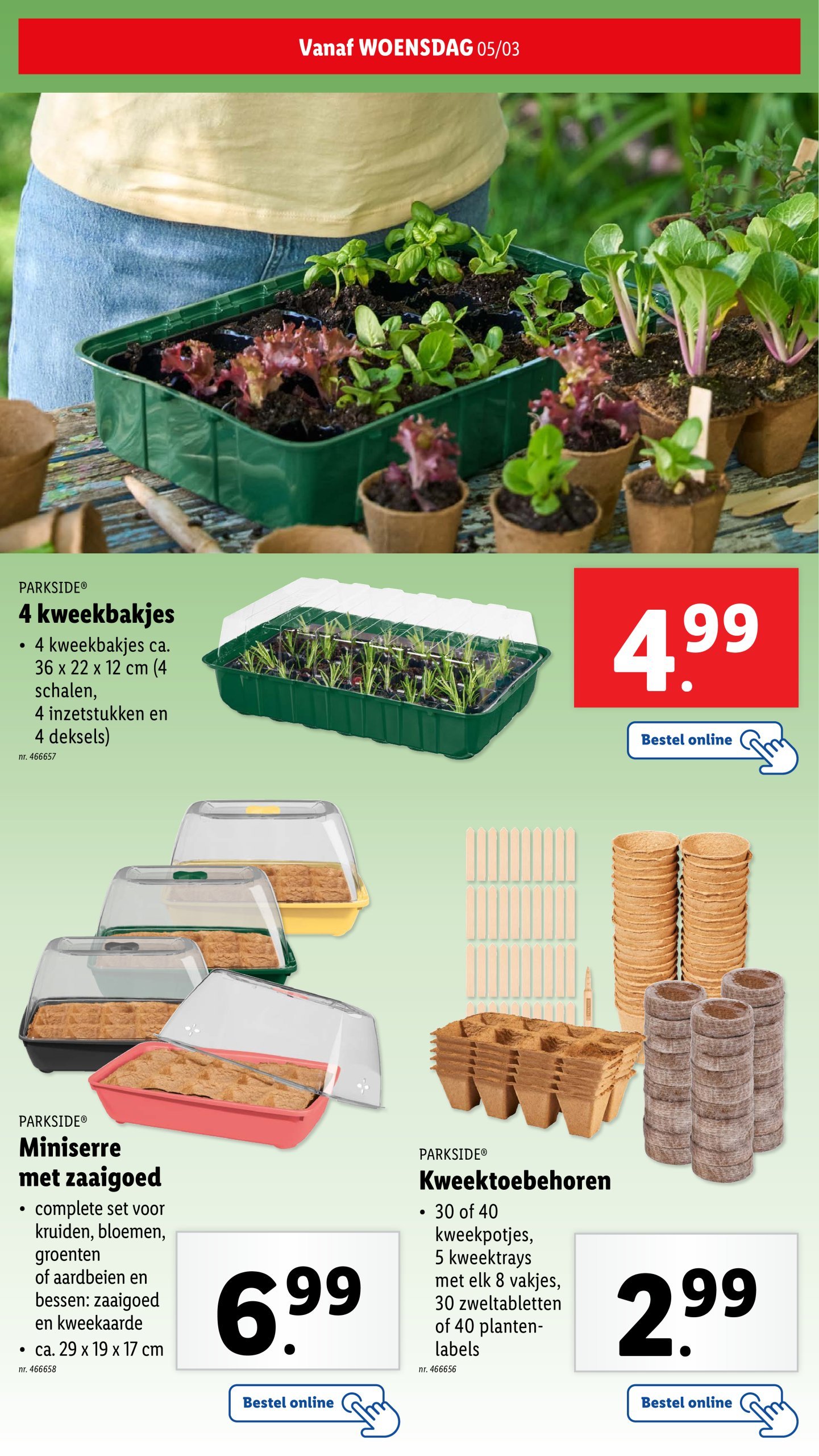 lidl - Lidl - Tuinfolder folder geldig vanaf 19/02 - 01/04 - page: 19