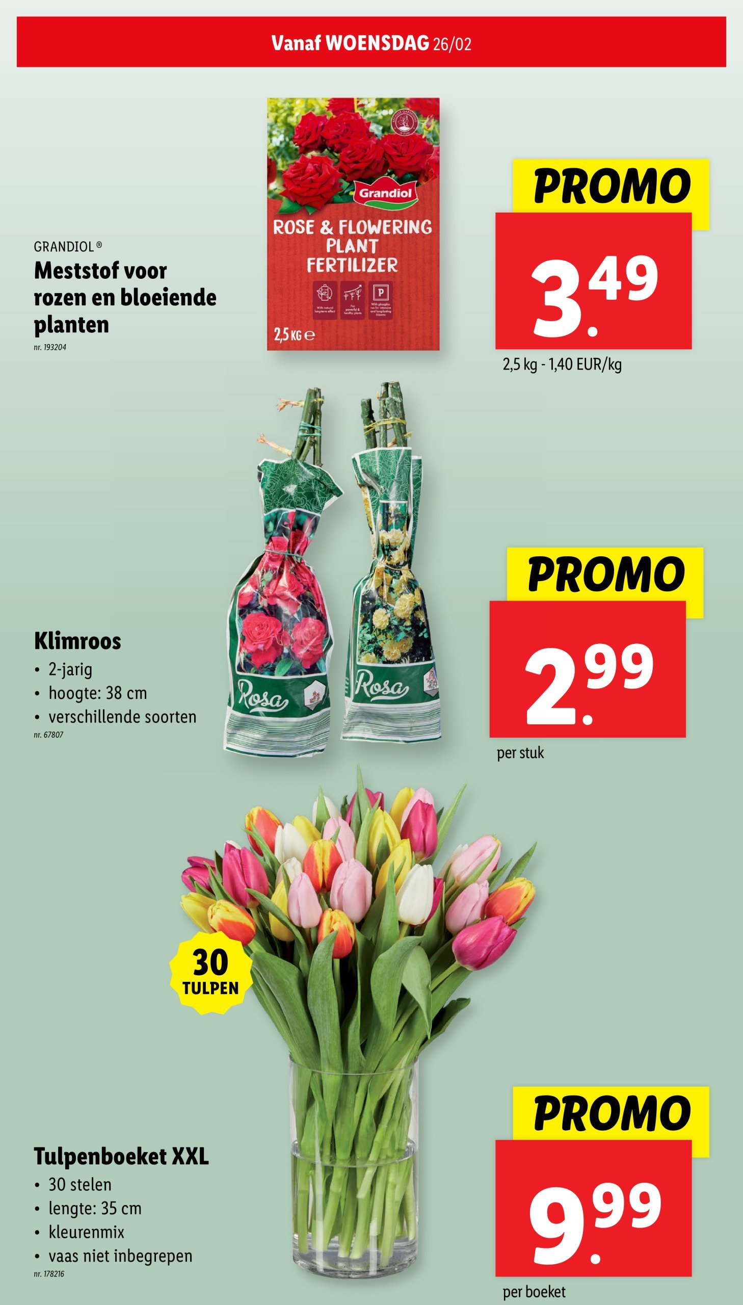 lidl - Lidl folder geldig vanaf 26/02 - 04/03 - page: 34