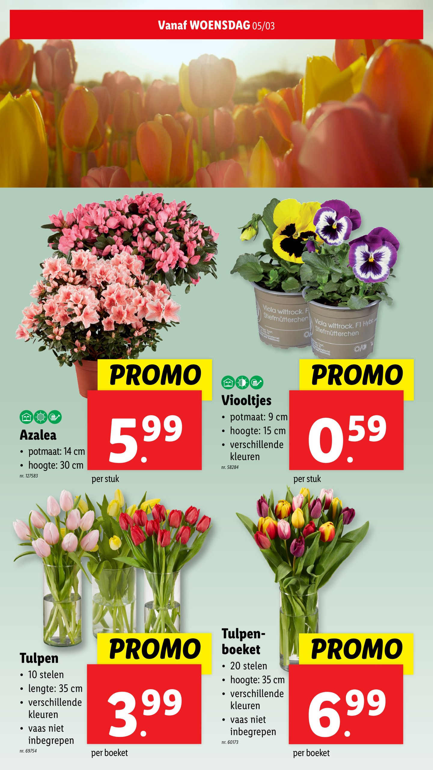 lidl - Lidl folder geldig vanaf 05/03 - 11/03 - page: 33 lidl - Lidl folder geldig vanaf 05/03 - 11/03 - page: 33