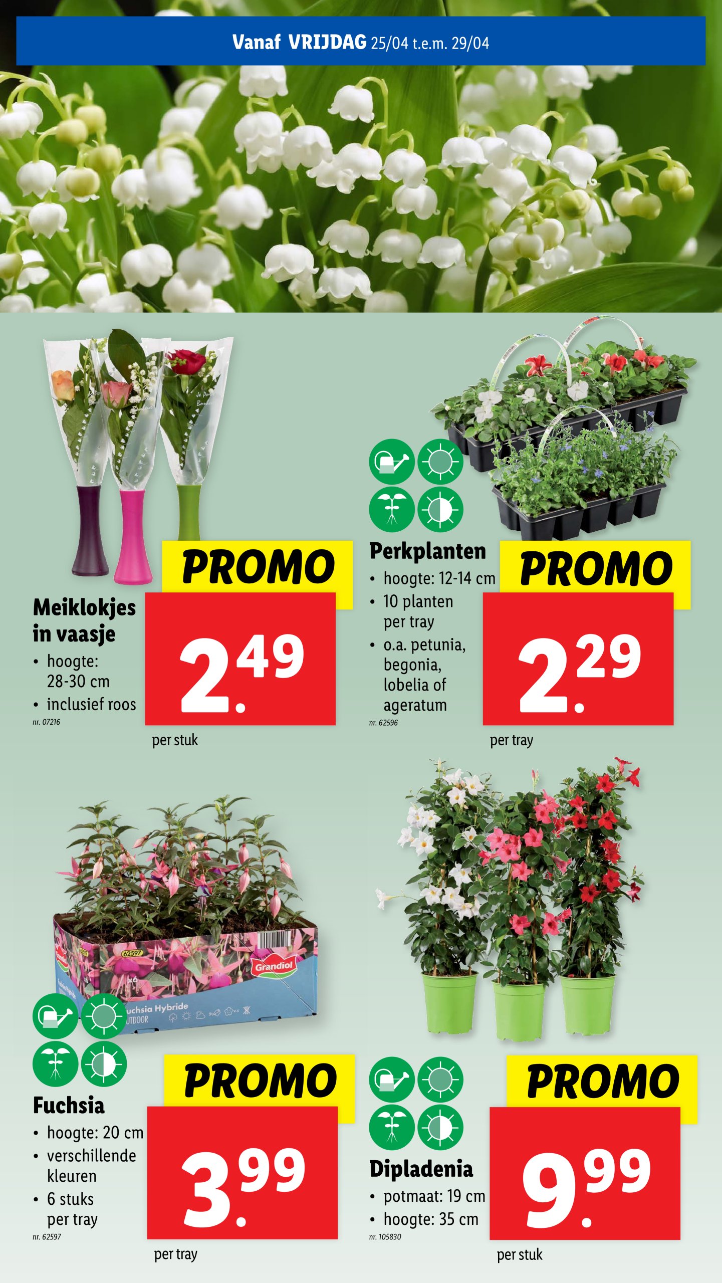 lidl - Lidl folder geldig vanaf 23/04 - 29/04 - page: 60 lidl - Lidl folder geldig vanaf 23/04 - 29/04 - page: 60
