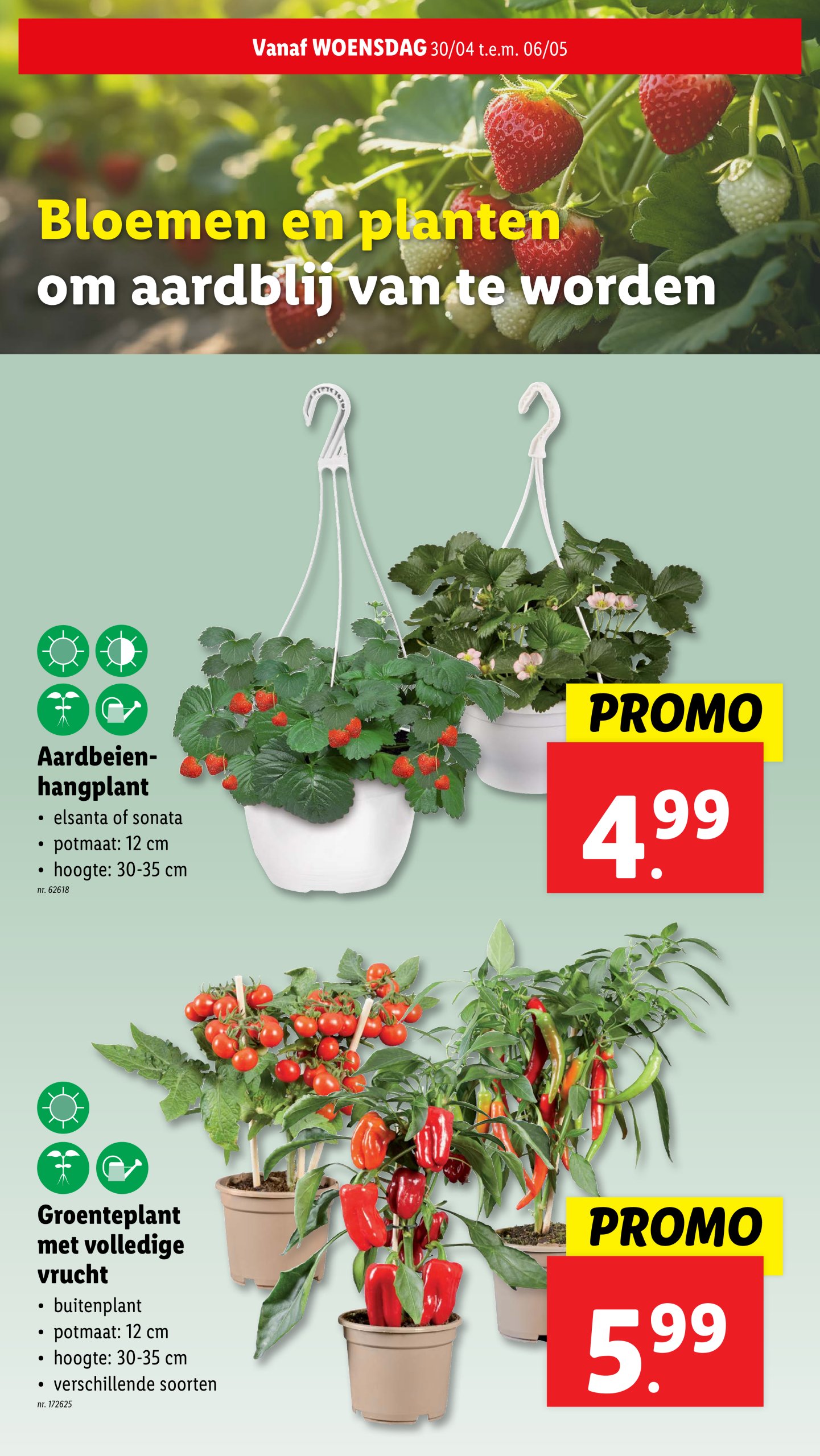 lidl - Lidl folder geldig vanaf 30/04 - 06/05 - page: 41 lidl - Lidl folder geldig vanaf 30/04 - 06/05 - page: 41