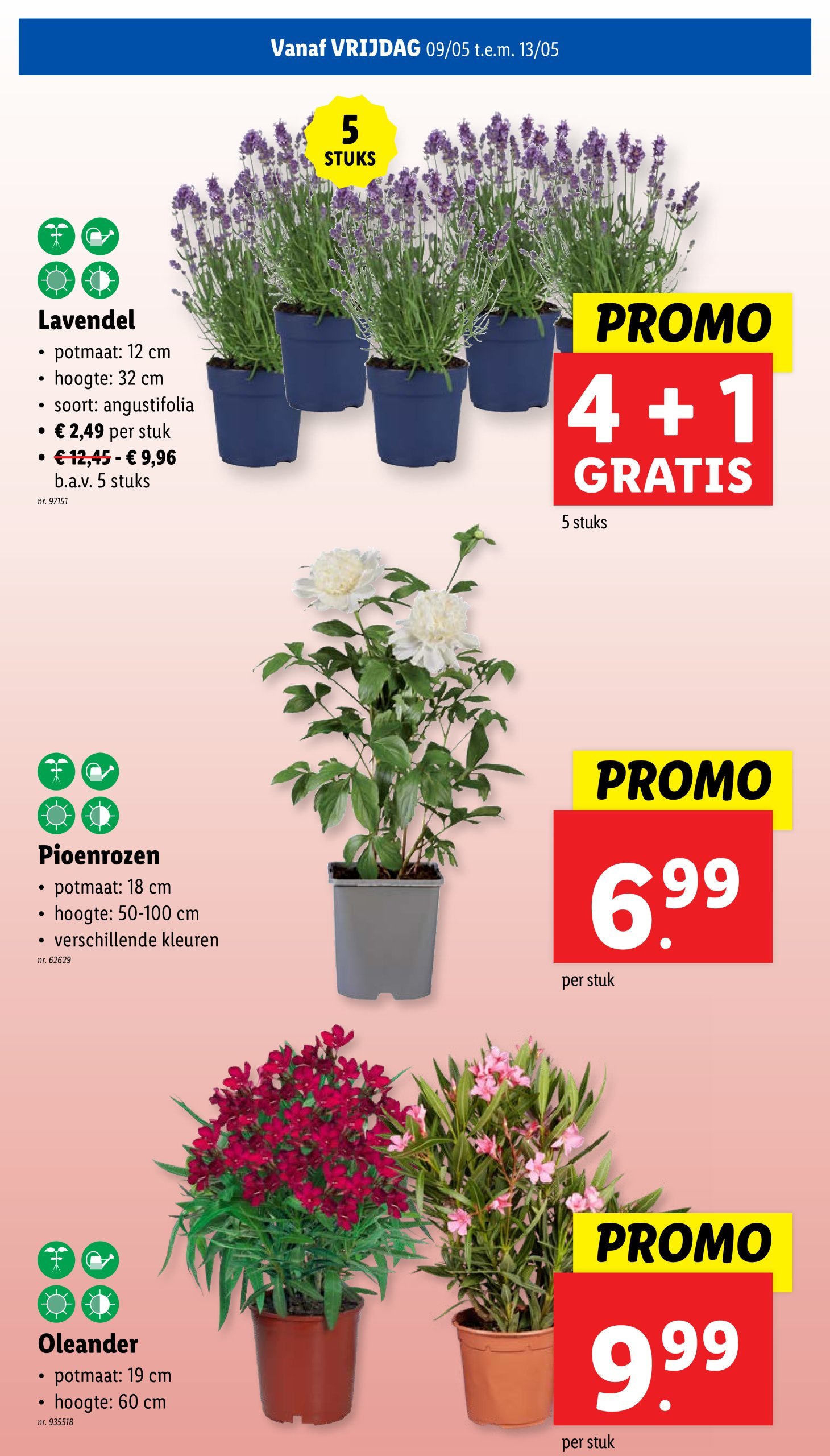 lidl - Lidl folder geldig vanaf 07/05 - 13/05 - page: 31 lidl - Lidl folder geldig vanaf 07/05 - 13/05 - page: 31