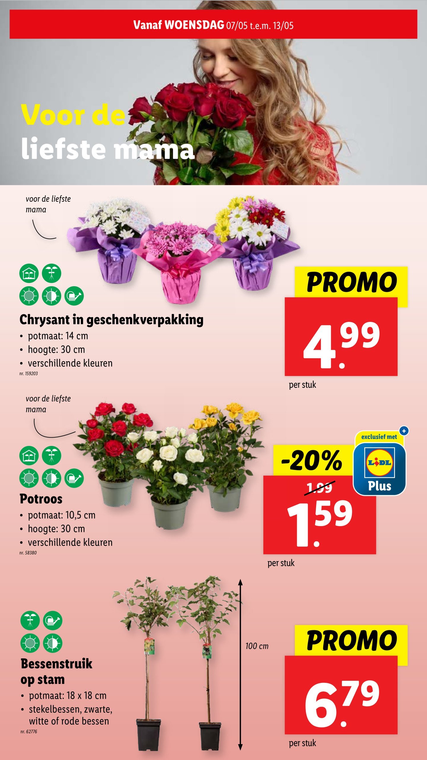 lidl - Lidl folder geldig vanaf 07/05 - 13/05 - page: 29 lidl - Lidl folder geldig vanaf 07/05 - 13/05 - page: 29