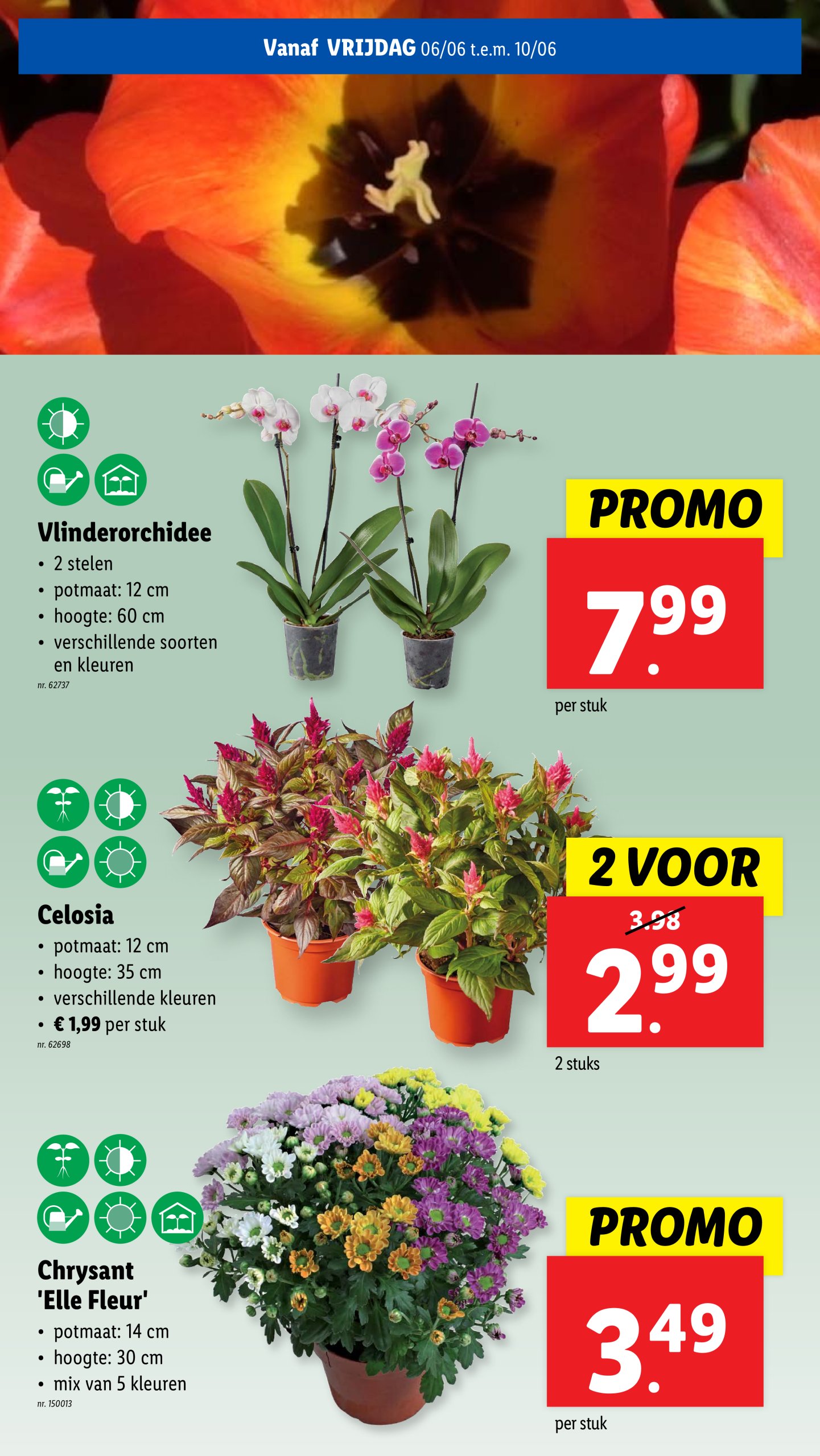 lidl - Lidl folder geldig vanaf 04/06 - 10/06 - page: 64 lidl - Lidl folder geldig vanaf 04/06 - 10/06 - page: 64