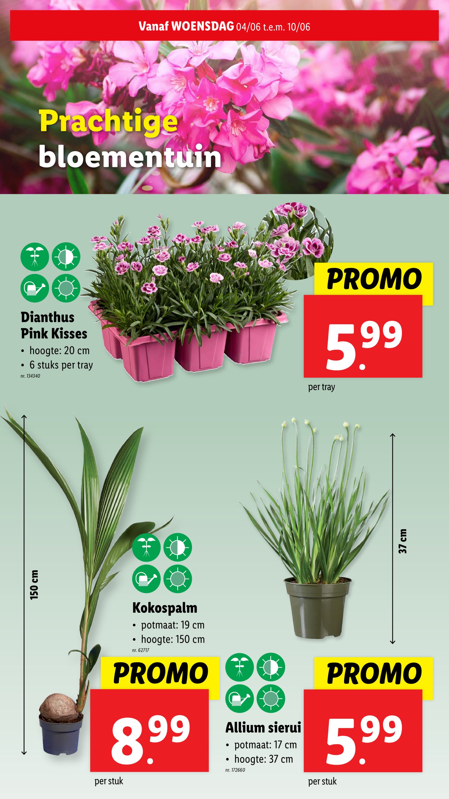 lidl - Lidl folder geldig vanaf 04/06 - 10/06 - page: 30 lidl - Lidl folder geldig vanaf 04/06 - 10/06 - page: 30