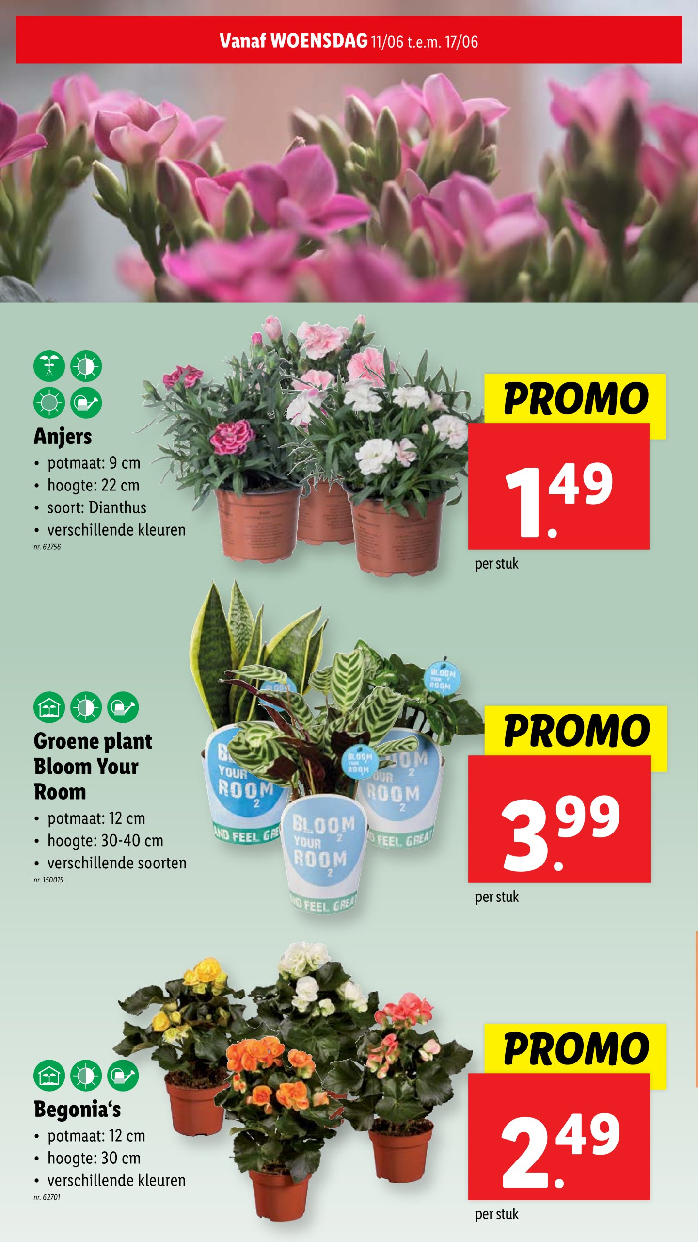 lidl - Lidl folder geldig vanaf 11/06 - 17/06 - page: 28 lidl - Lidl folder geldig vanaf 11/06 - 17/06 - page: 28