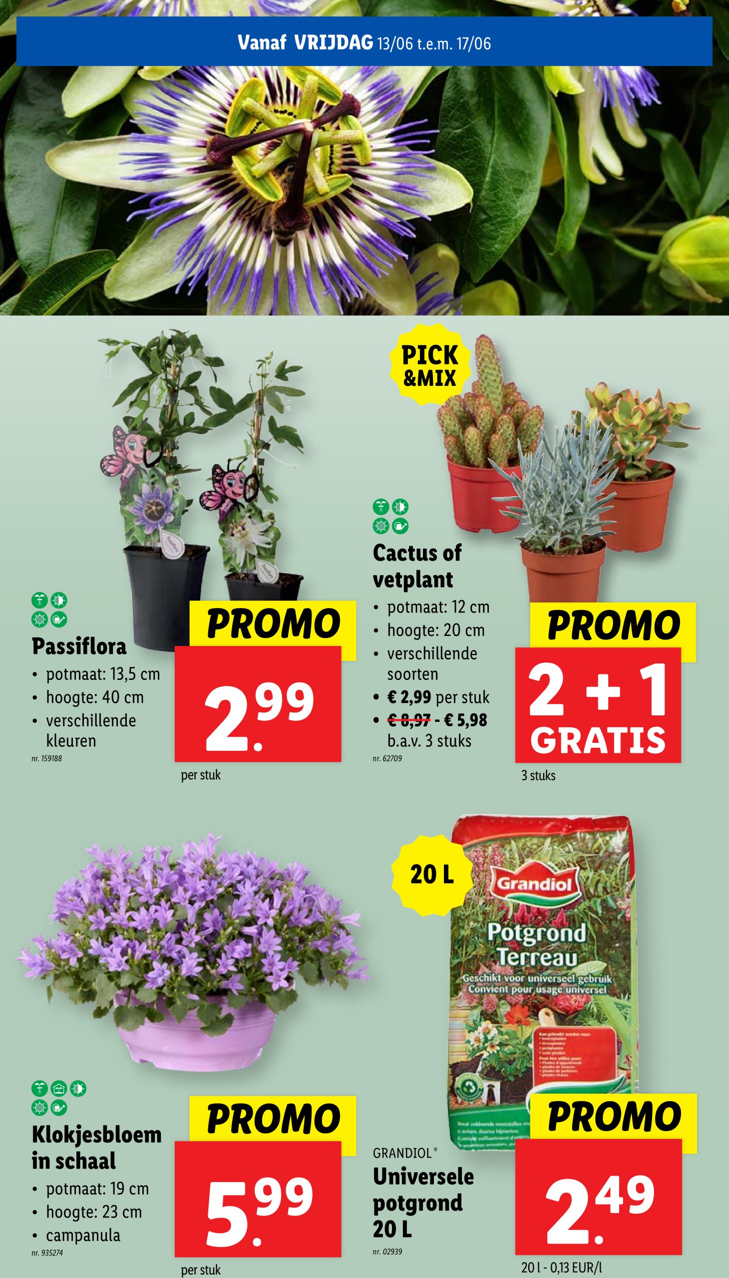 lidl - Lidl folder geldig vanaf 11/06 - 17/06 - page: 54 lidl - Lidl folder geldig vanaf 11/06 - 17/06 - page: 54