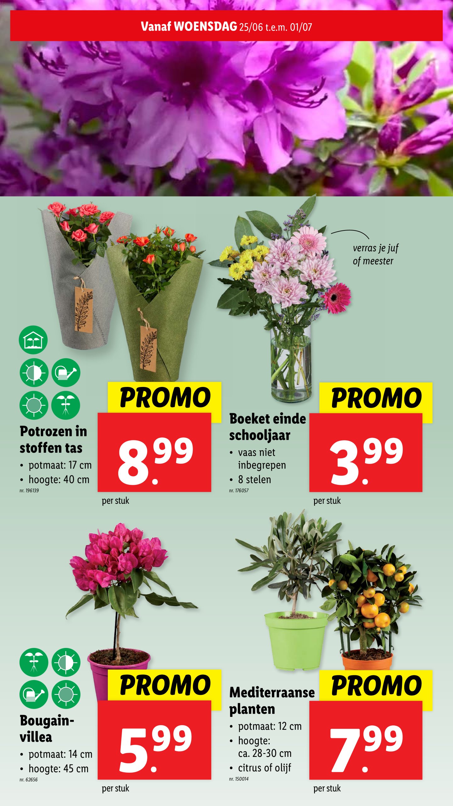 lidl - Lidl folder geldig vanaf 25/06 - 01/07 - page: 27