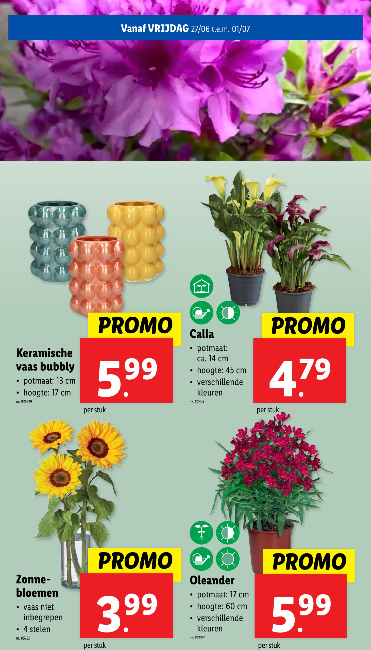 lidl - Lidl folder geldig vanaf 25/06 - 01/07 - page: 57