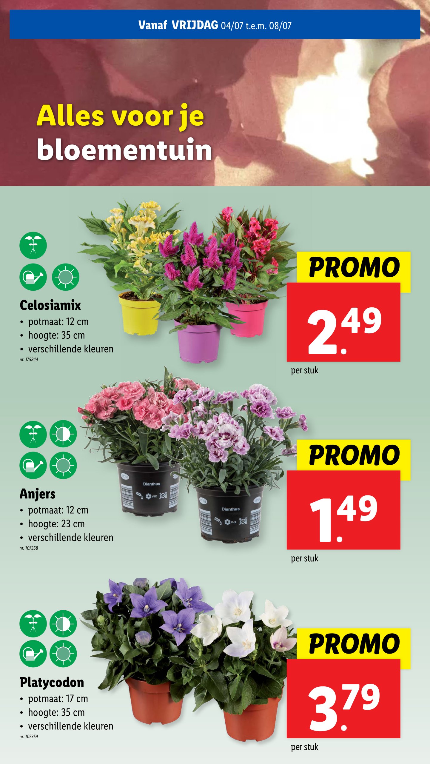 lidl - Lidl folder geldig vanaf 02/07 - 08/07 - page: 53