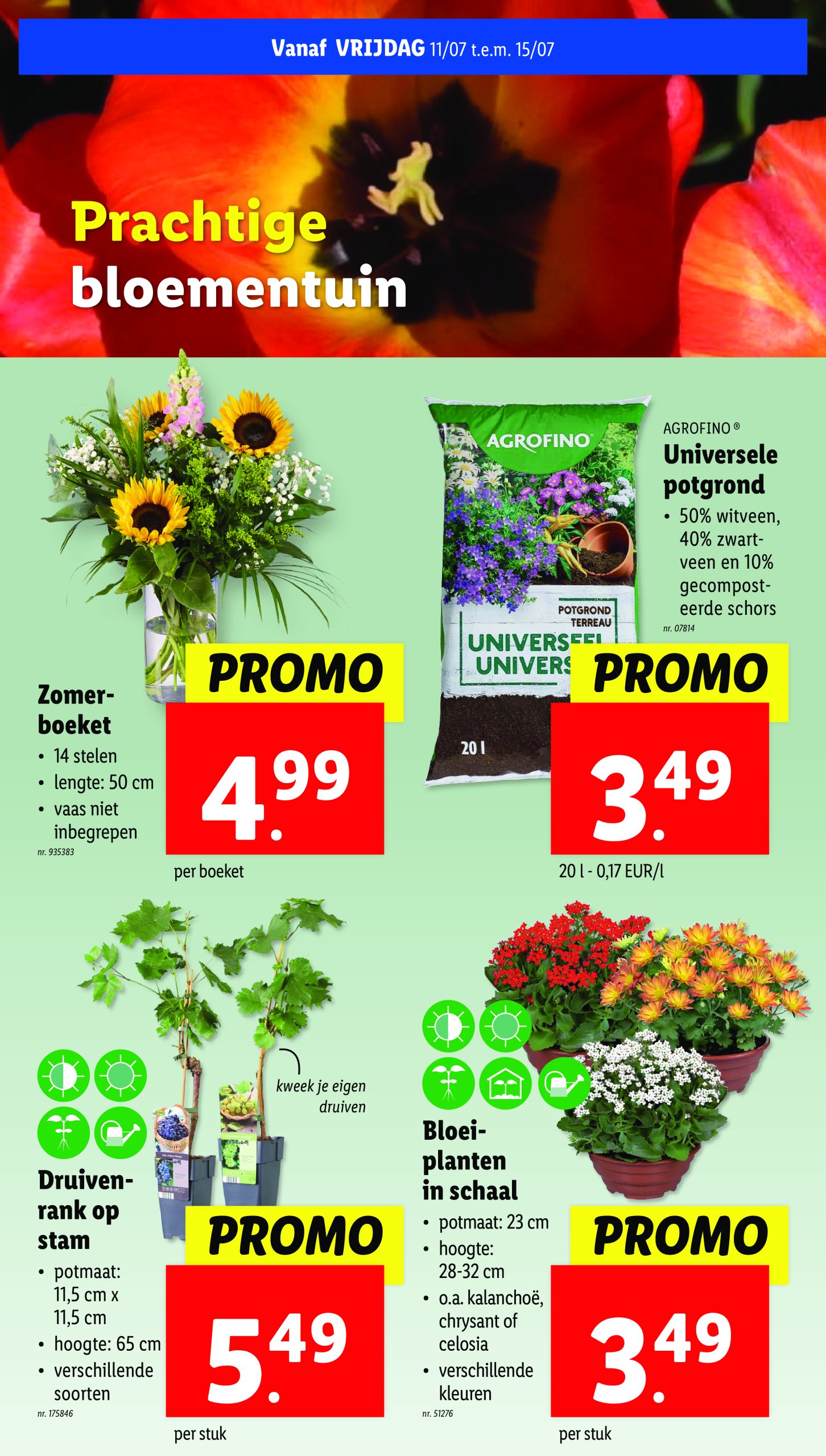 lidl - Lidl folder geldig vanaf 09/07 - 15/07 - page: 57 lidl - Lidl folder geldig vanaf 09/07 - 15/07 - page: 57