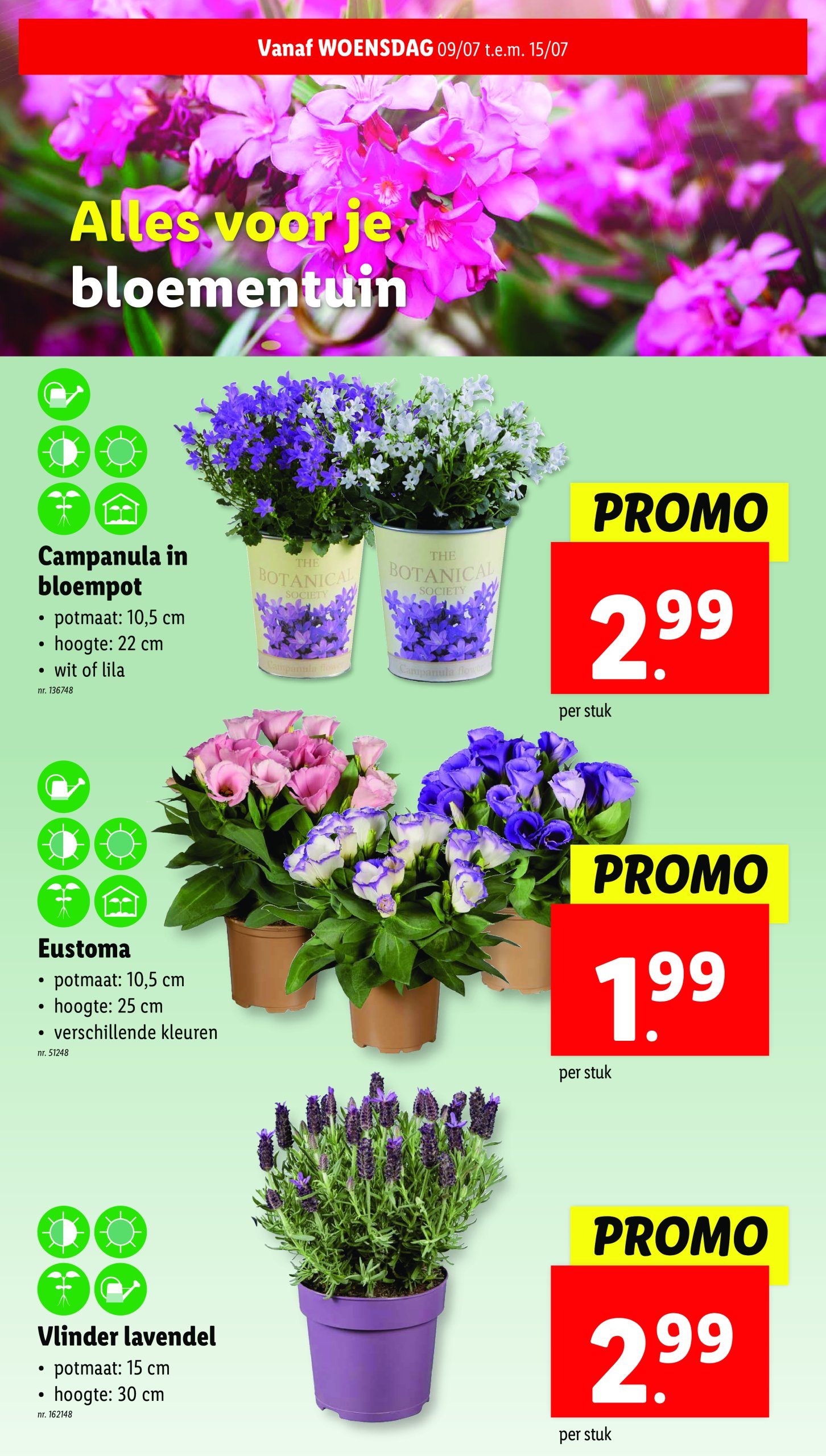 lidl - Lidl folder geldig vanaf 09/07 - 15/07 - page: 29 lidl - Lidl folder geldig vanaf 09/07 - 15/07 - page: 29