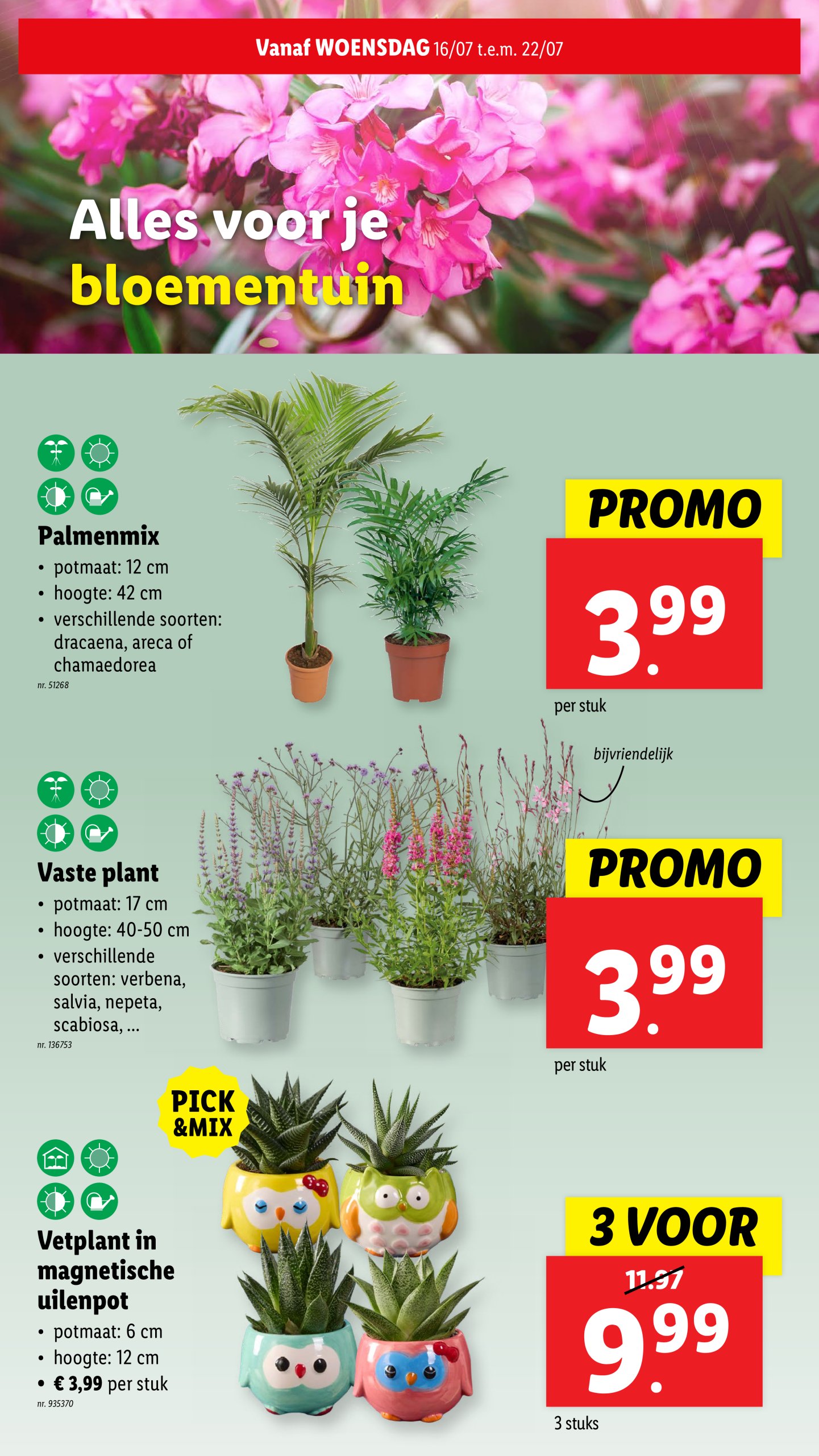 lidl - Lidl folder geldig vanaf 16/07 - 22/07 - page: 31
