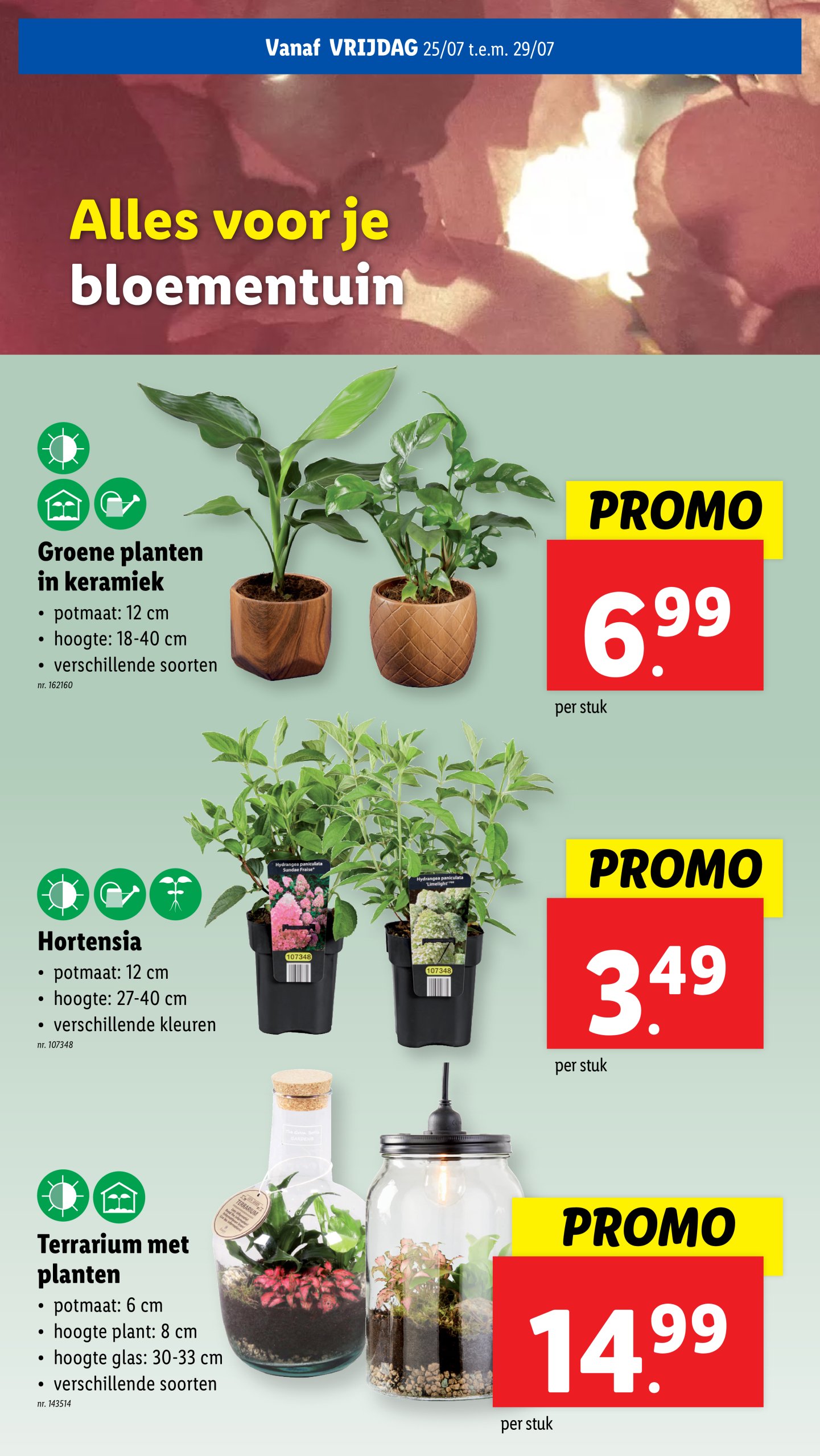 lidl - Lidl folder geldig vanaf 23/07 - 29/07 - page: 43 lidl - Lidl folder geldig vanaf 23/07 - 29/07 - page: 43