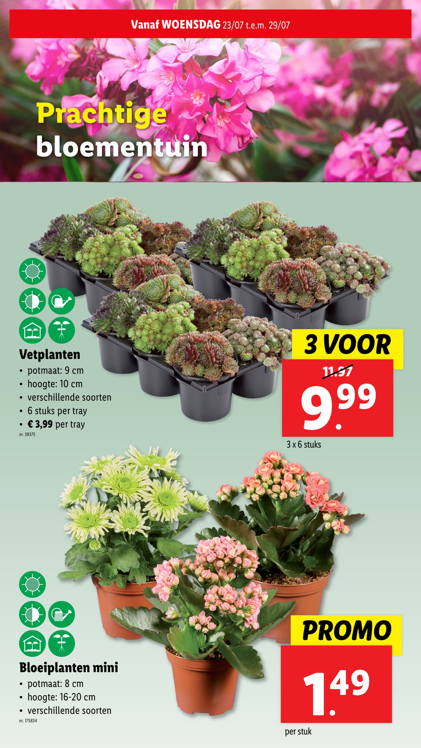 lidl - Lidl folder geldig vanaf 23/07 - 29/07 - page: 29 lidl - Lidl folder geldig vanaf 23/07 - 29/07 - page: 29