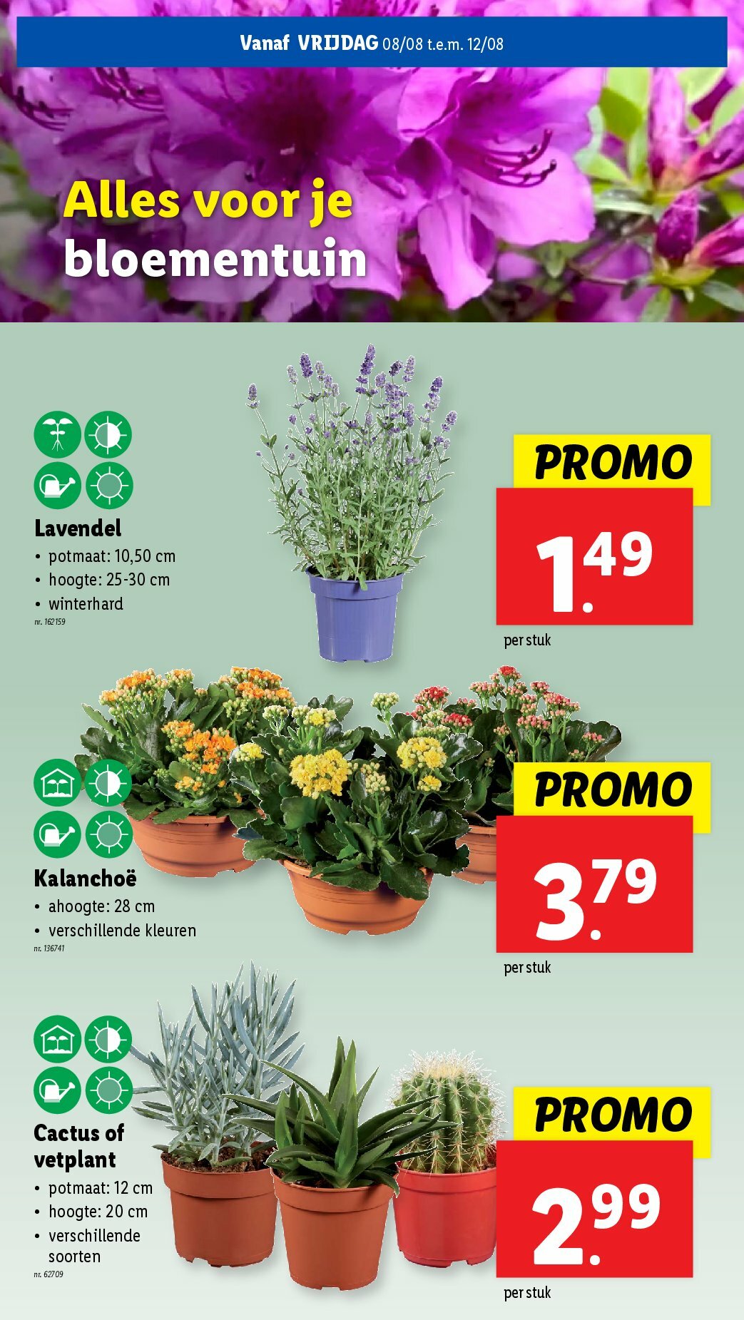 lidl - Lidl folder geldig vanaf 06/08 - 12/08 - page: 53 lidl - Lidl folder geldig vanaf 06/08 - 12/08 - page: 53