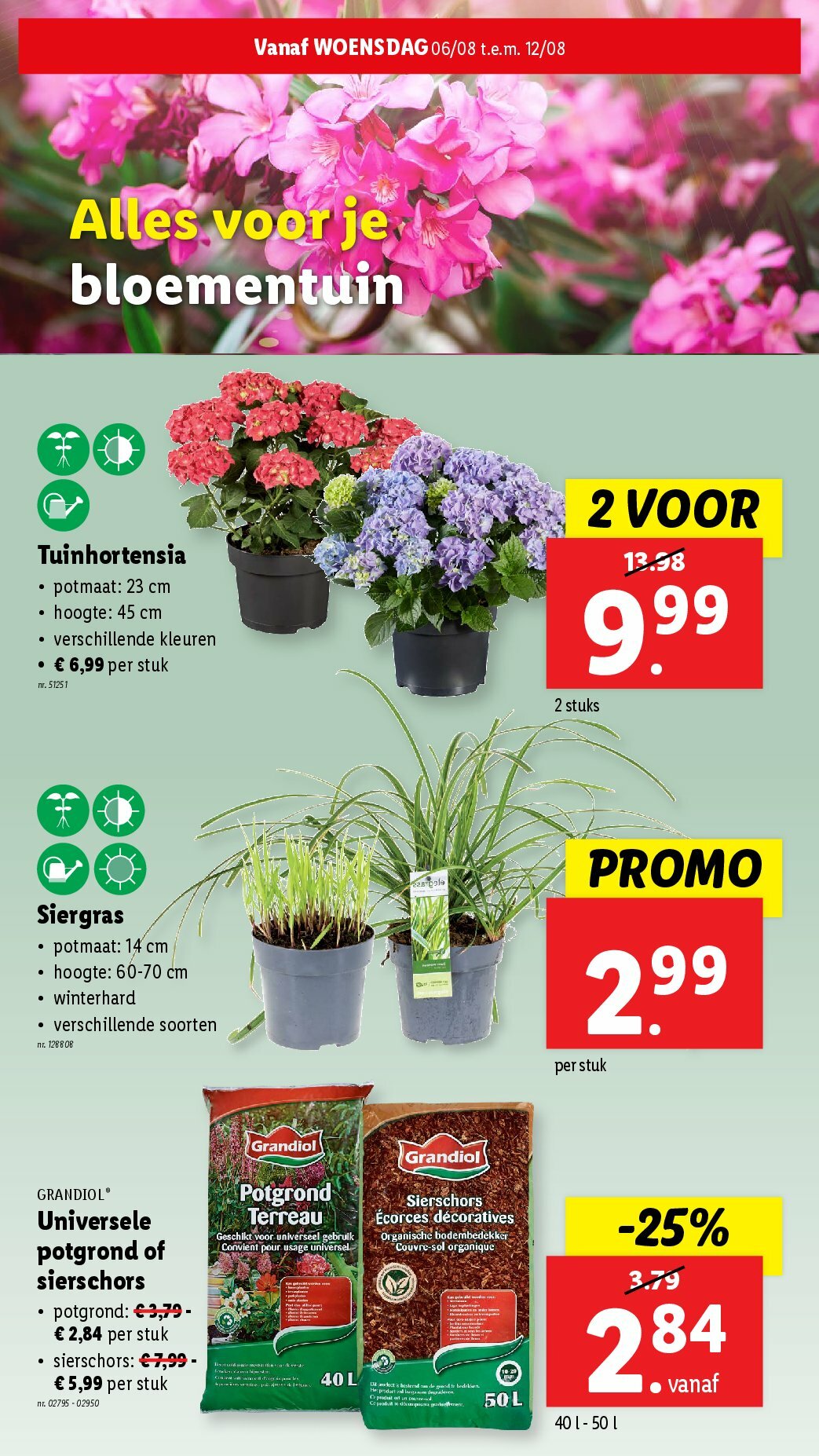 lidl - Lidl folder geldig vanaf 06/08 - 12/08 - page: 26 lidl - Lidl folder geldig vanaf 06/08 - 12/08 - page: 26