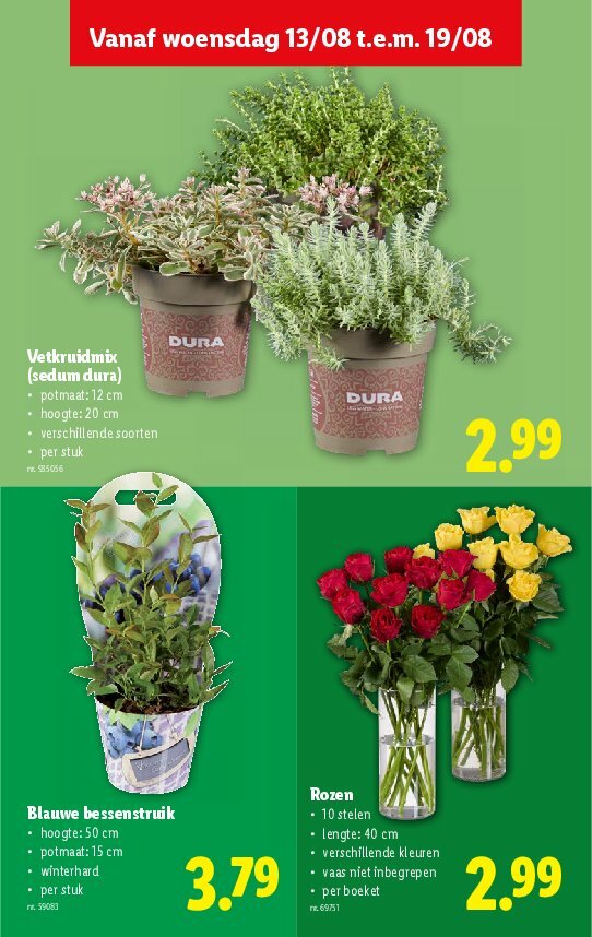 lidl - Lidl folder geldig vanaf 13/08 - 19/08 - page: 27 lidl - Lidl folder geldig vanaf 13/08 - 19/08 - page: 27