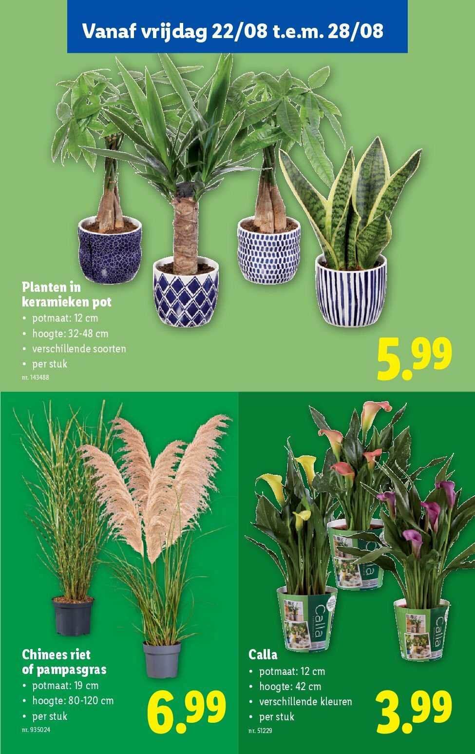 lidl - Lidl folder geldig vanaf 20/08 - 26/08 - page: 54 lidl - Lidl folder geldig vanaf 20/08 - 26/08 - page: 54