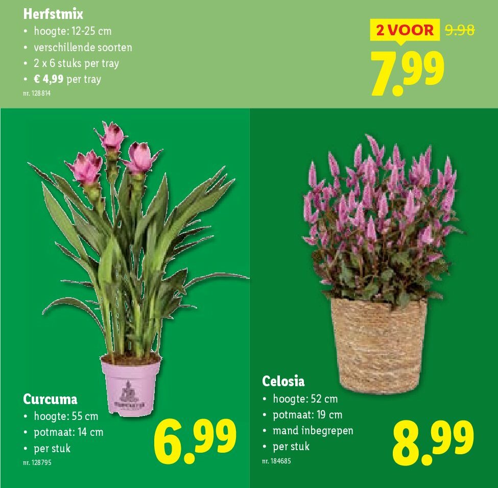 lidl - Lidl folder geldig vanaf 27/08 - 02/09 - page: 52 lidl - Lidl folder geldig vanaf 27/08 - 02/09 - page: 52