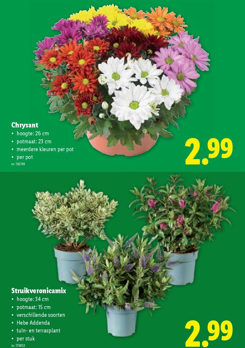 lidl - Lidl folder geldig vanaf 27/08 - 02/09 - page: 32 lidl - Lidl folder geldig vanaf 27/08 - 02/09 - page: 32