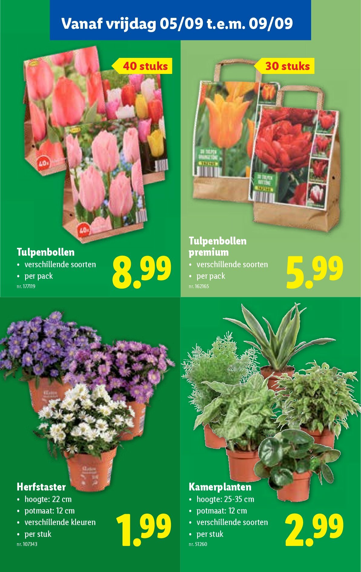 lidl - Lidl folder geldig vanaf 03/09 - 09/09 - page: 57 lidl - Lidl folder geldig vanaf 03/09 - 09/09 - page: 57