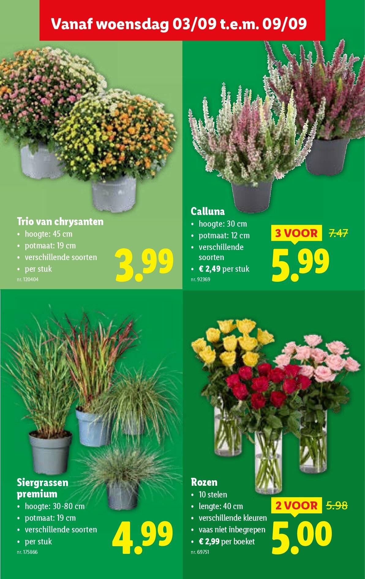 lidl - Lidl folder geldig vanaf 03/09 - 09/09 - page: 29 lidl - Lidl folder geldig vanaf 03/09 - 09/09 - page: 29