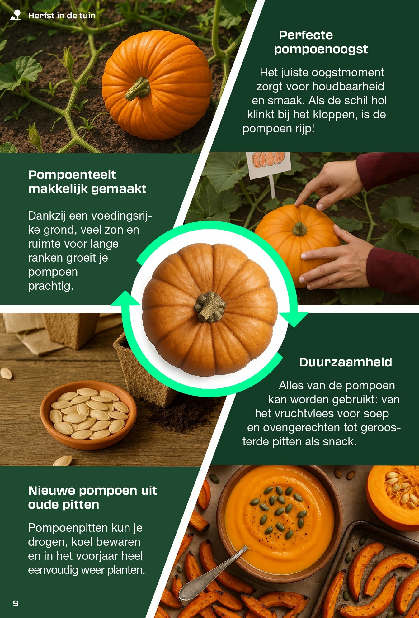lidl - Lidl - Parkside folder geldig vanaf 01/09 - 23/09 - page: 9