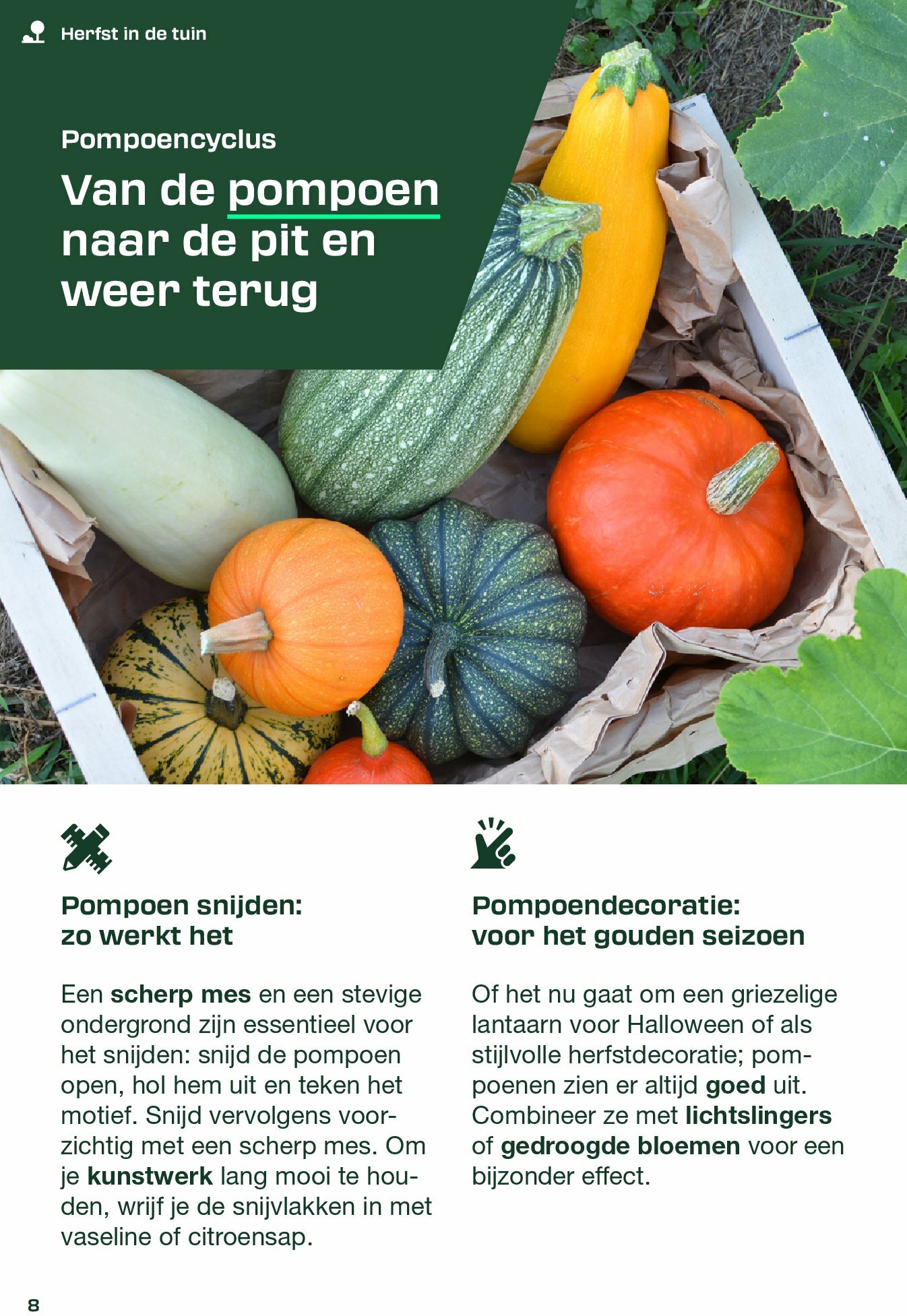 lidl - Lidl - Parkside folder geldig vanaf 01/09 - 23/09 - page: 8