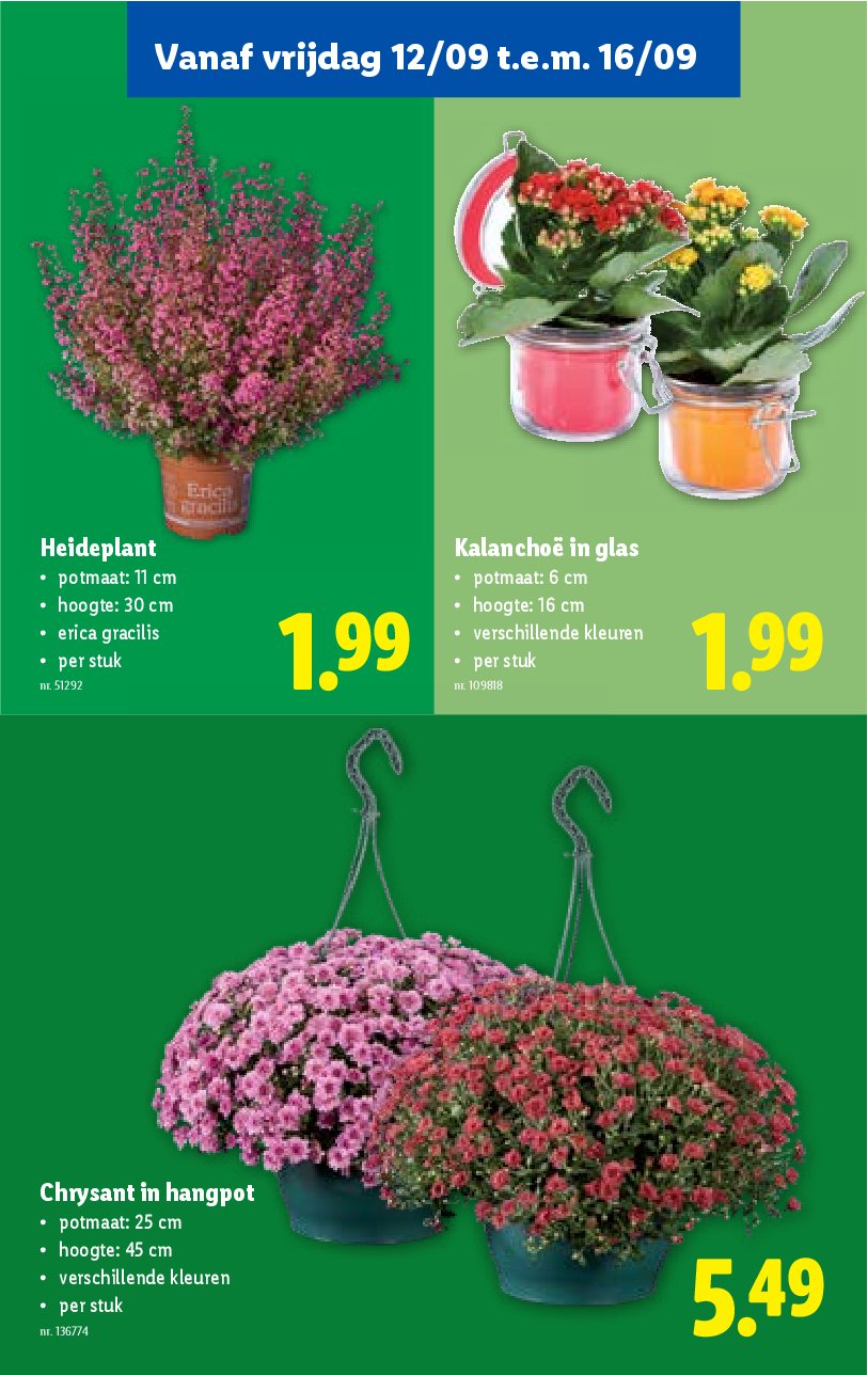 lidl - Lidl folder geldig vanaf 10/09 - 16/09 - page: 55 lidl - Lidl folder geldig vanaf 10/09 - 16/09 - page: 55