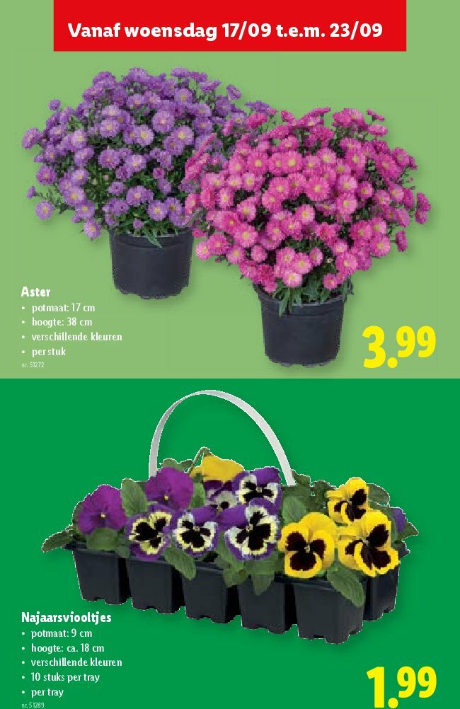 lidl - Lidl folder geldig vanaf 17/09 - 23/09 - page: 36
