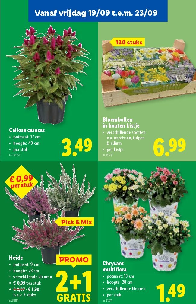 lidl - Lidl folder geldig vanaf 17/09 - 23/09 - page: 55