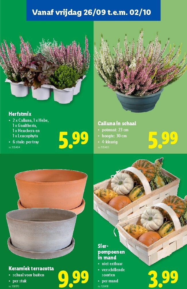 lidl - Lidl folder geldig vanaf 24/09 - 30/09 - page: 51