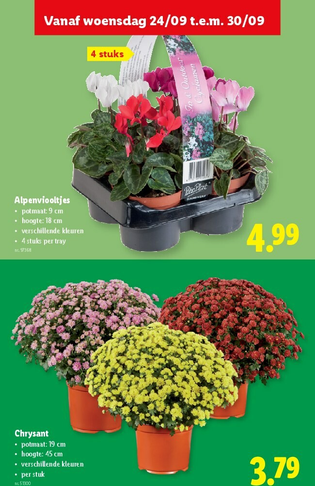 lidl - Lidl folder geldig vanaf 24/09 - 30/09 - page: 32