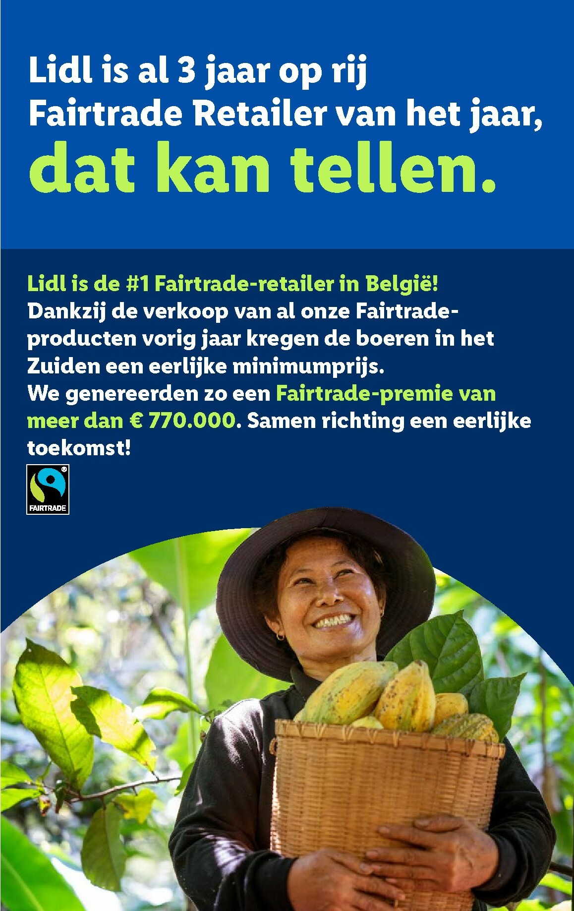 lidl - Lidl folder geldig vanaf 01/10 - 07/10 - page: 41