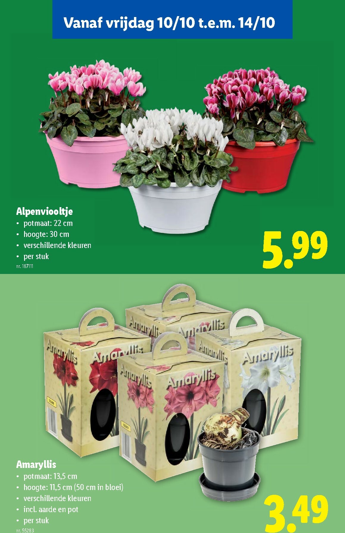 lidl - Lidl folder geldig vanaf 08/10 - 14/10 - page: 54
