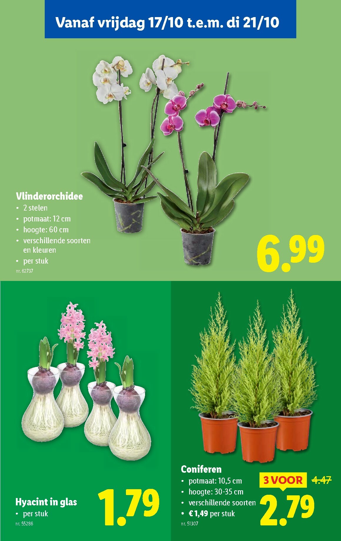 lidl - Lidl folder geldig vanaf 15/10 - 21/10 - page: 54 lidl - Lidl folder geldig vanaf 15/10 - 21/10 - page: 54